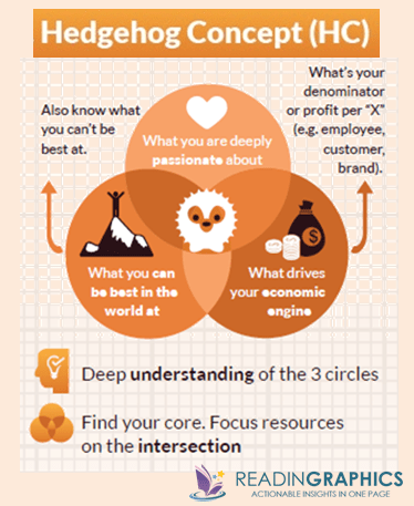 Hedgehog concept_business