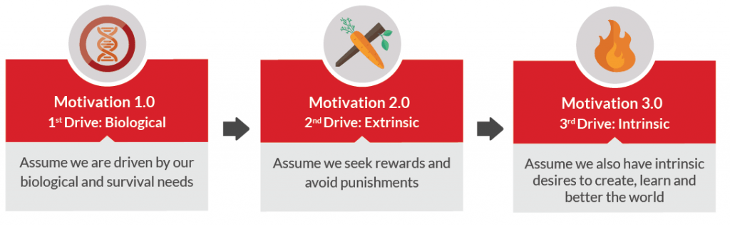 Daniel Pink Drive summary_Operating Systems