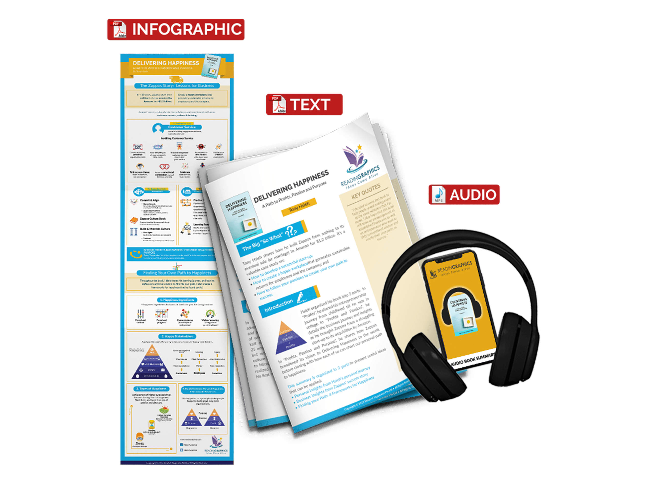 Delivering Happiness summary - book summary bundle