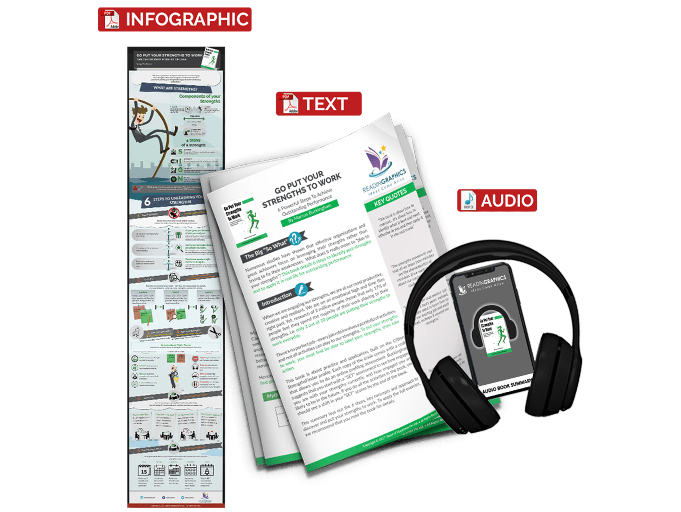 Go Put Your Strengths To Work summary - book summary bundle