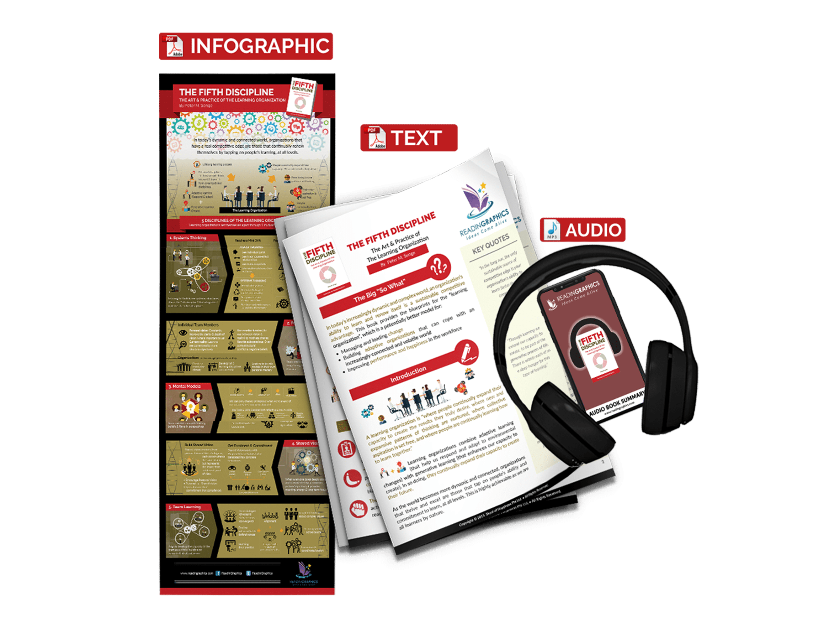 The Fifth Discipline summary - book summary bundle