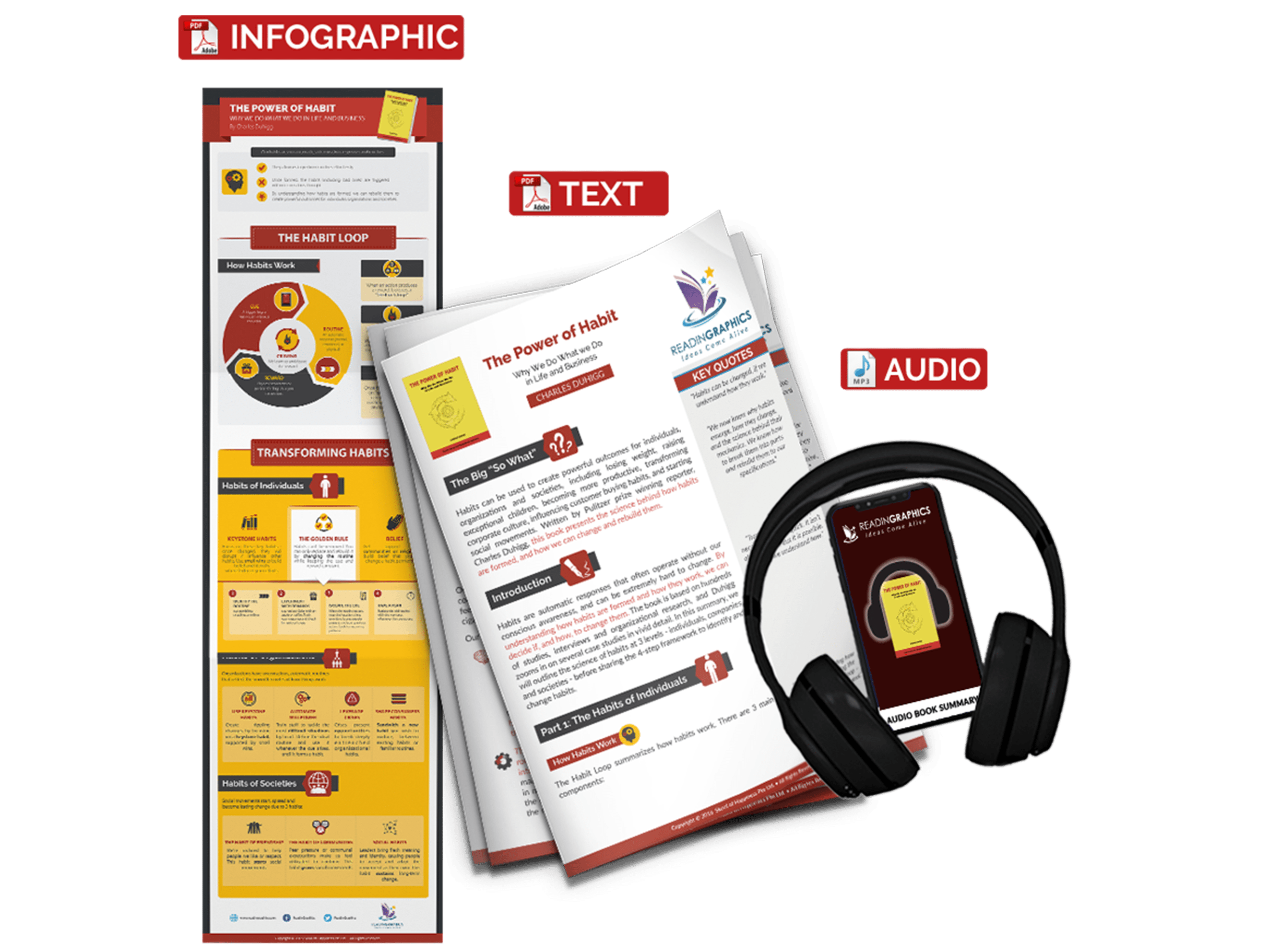 The Power of Habit summary - book summary bundle