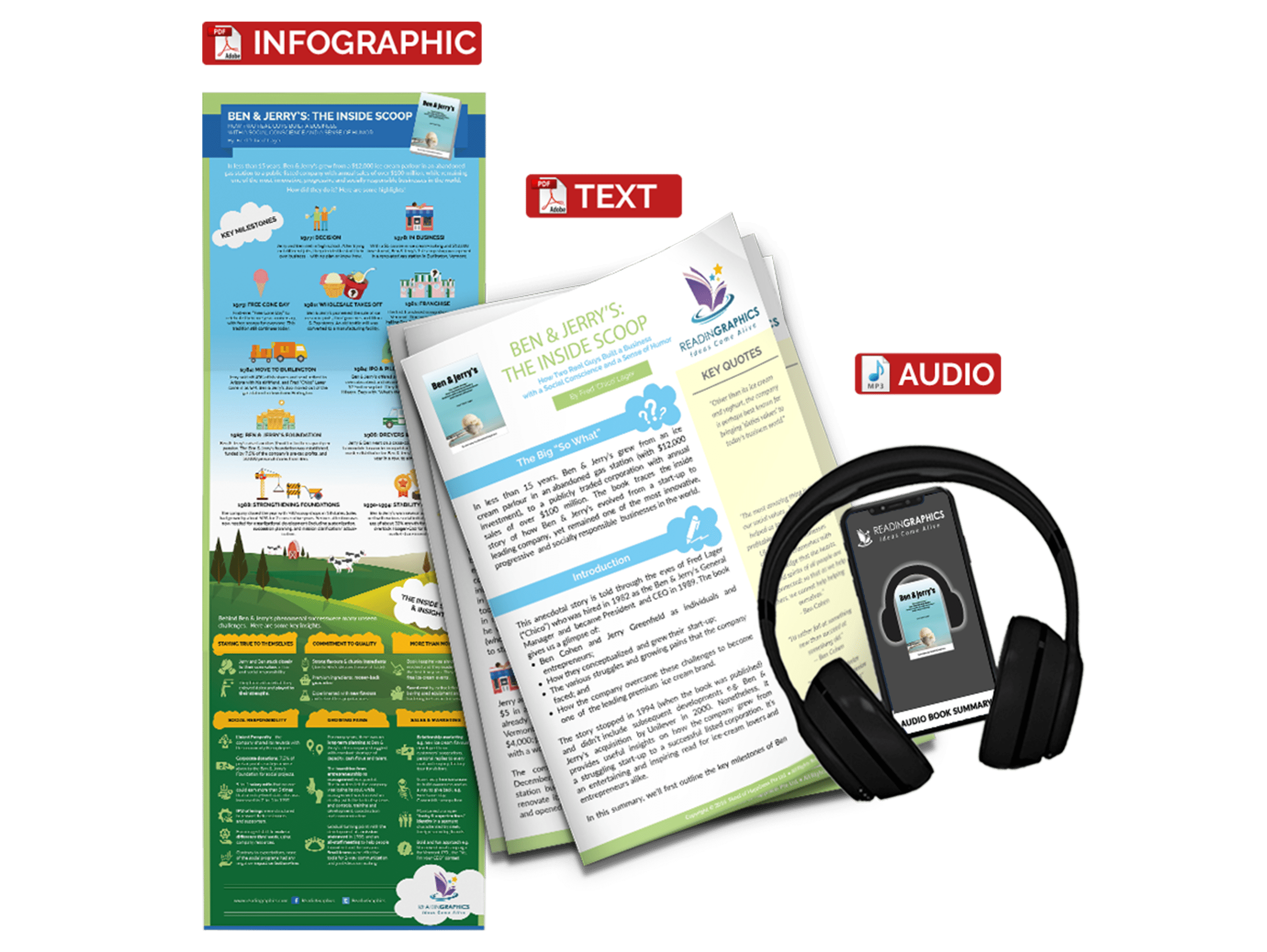 Ben & Jerrys summary - book summary bundle