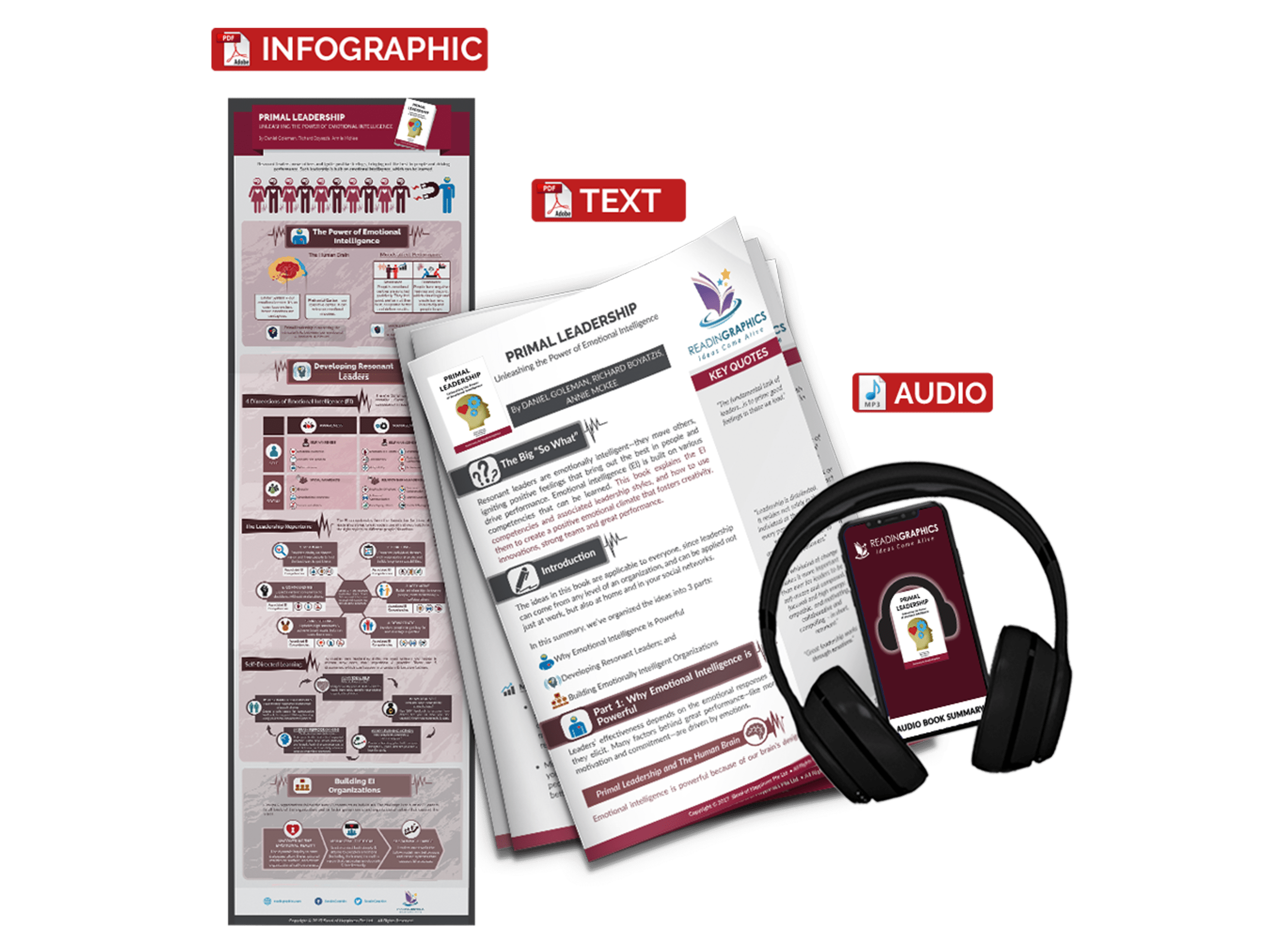 Primal Leadership summary - book summary bundle