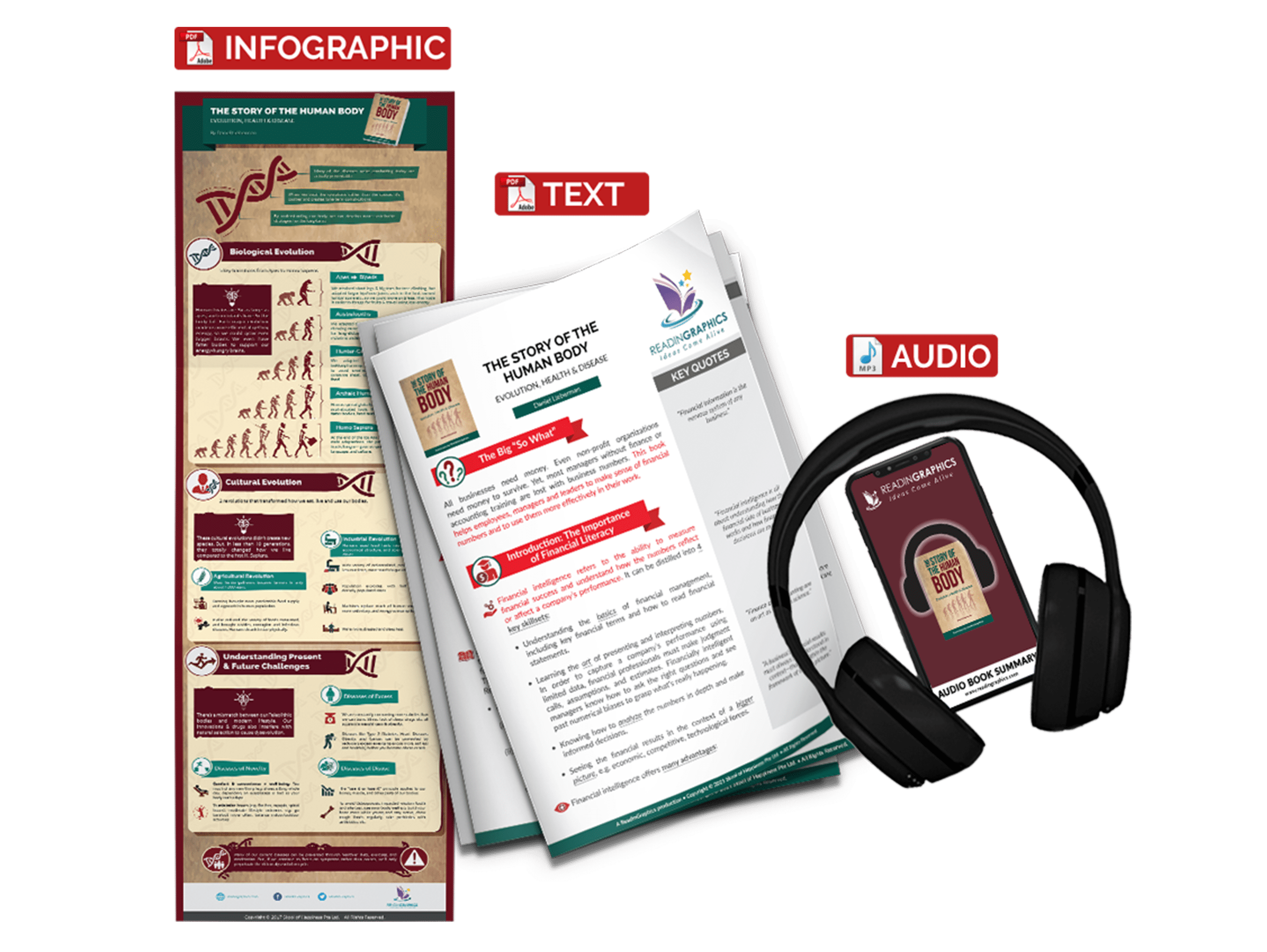 The Story of the Human Body summary - book summary bundle