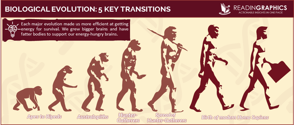 The Story of the Human Body summary_Biological Evolution