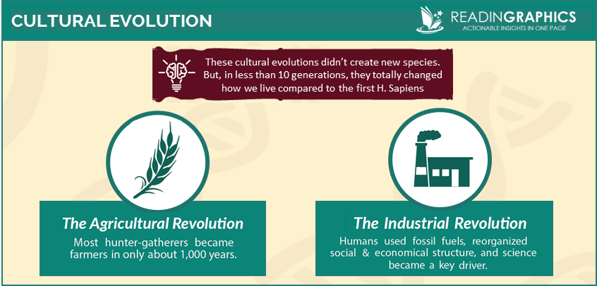 The Story of the Human Body summary_Cultural Evolution