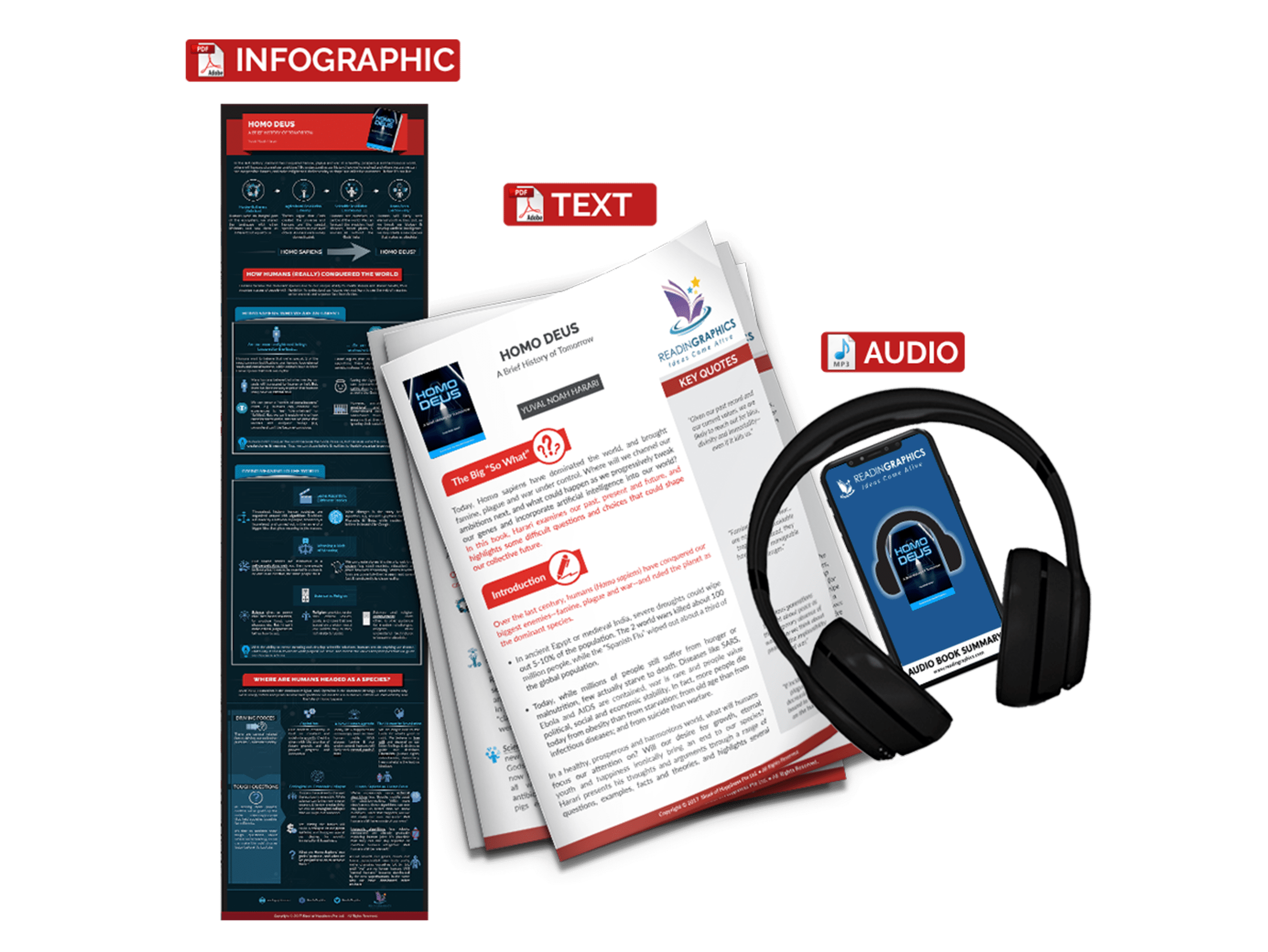 Homo Deus summary - book summary bundle