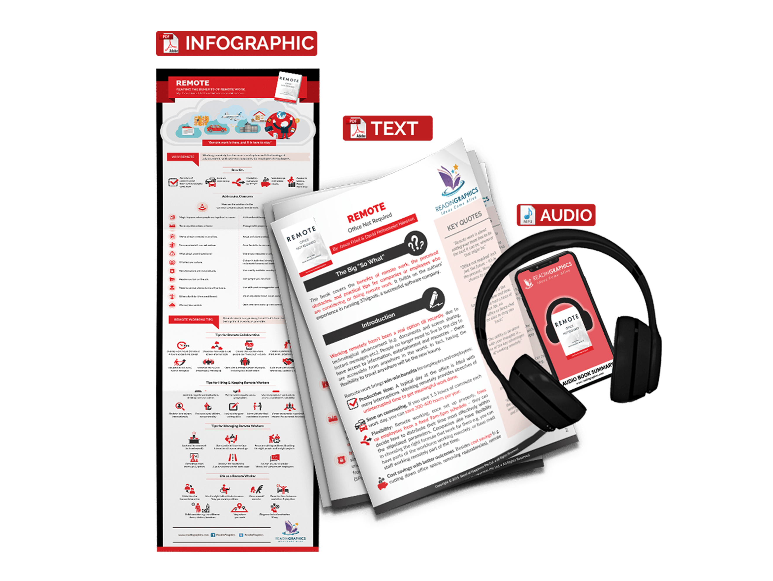 Remote summary - book summary bundle