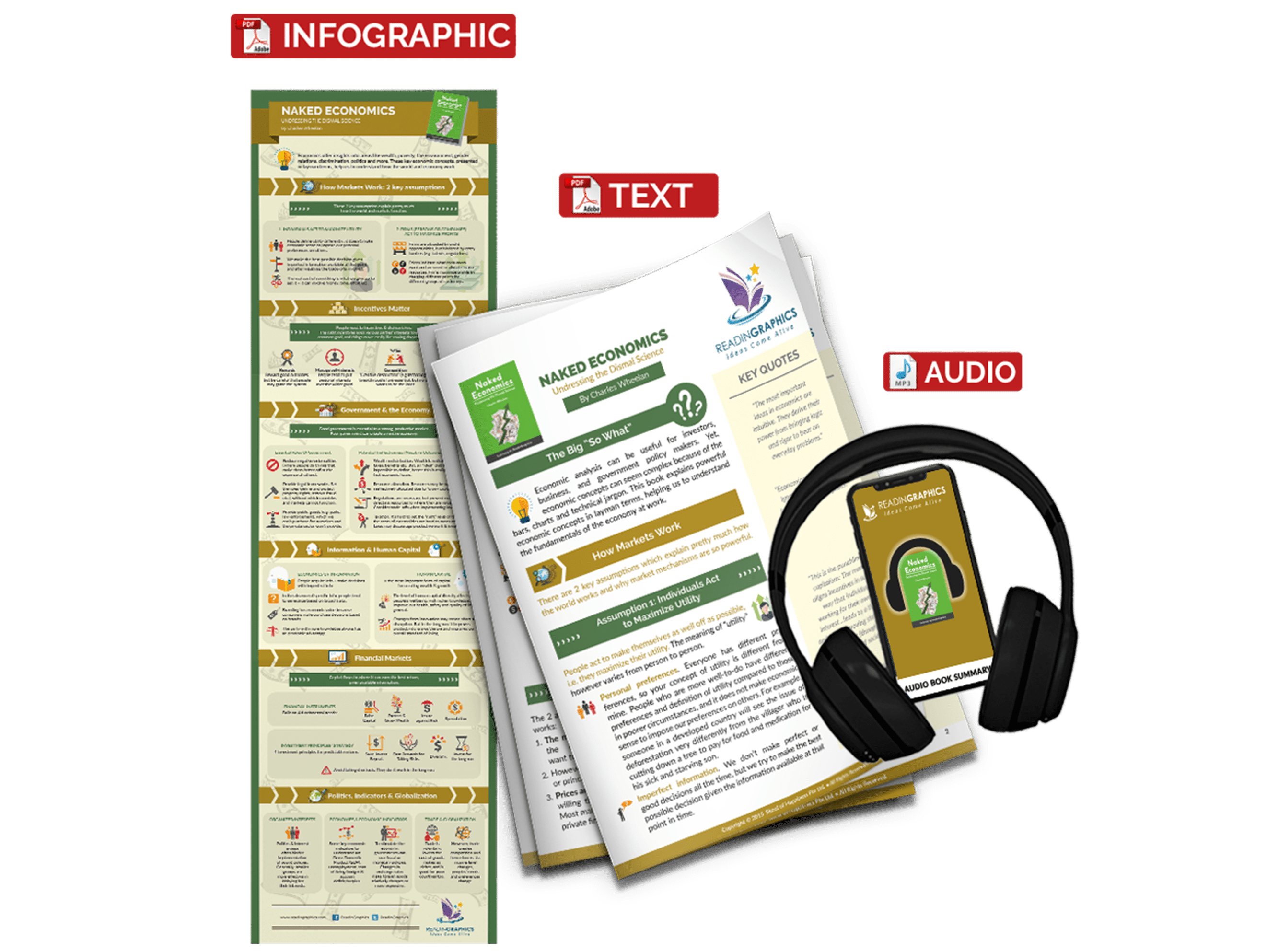 Naked Economics summary - book summary bundle