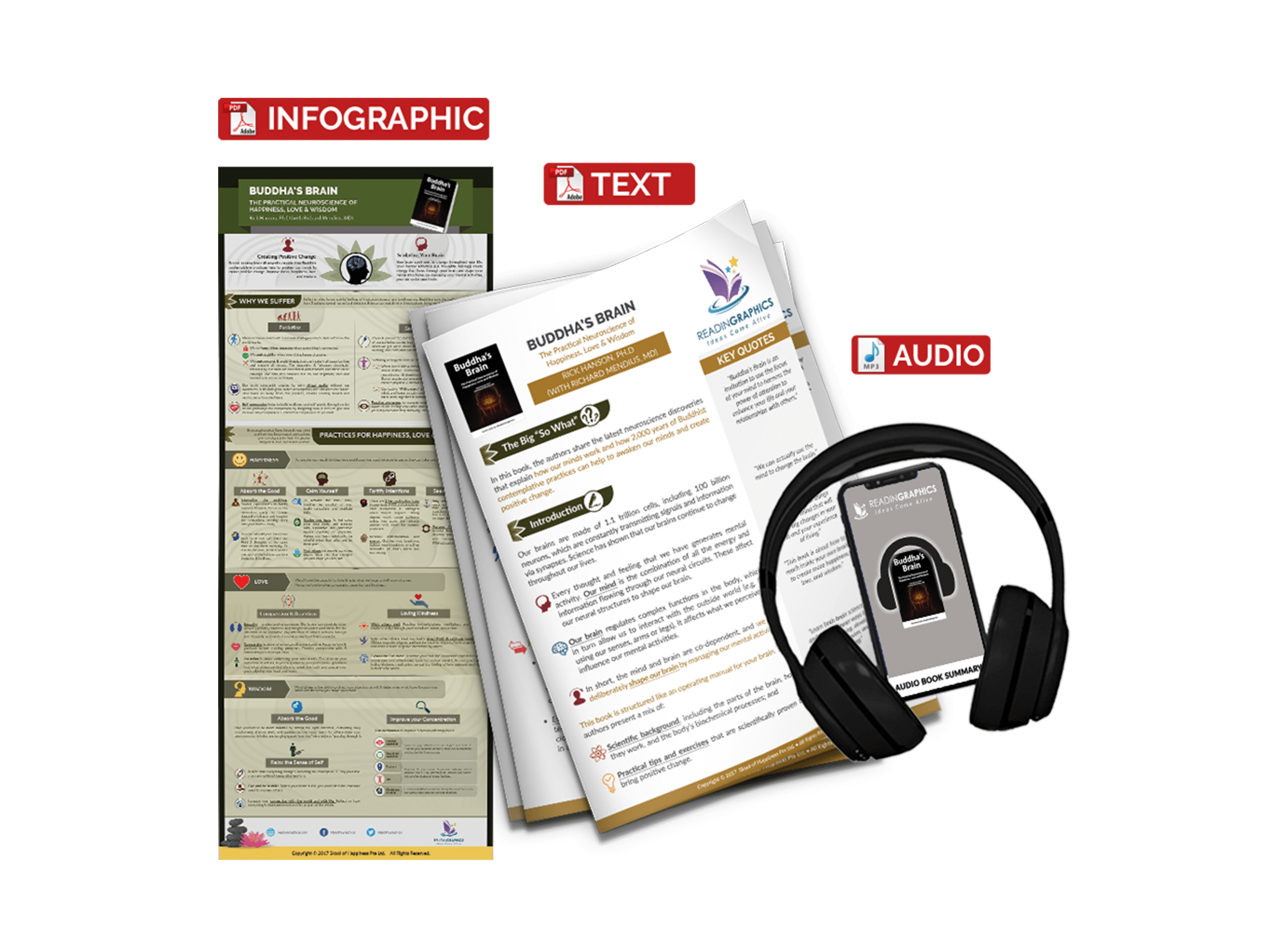 Buddhas Brain summary - book summary bundle