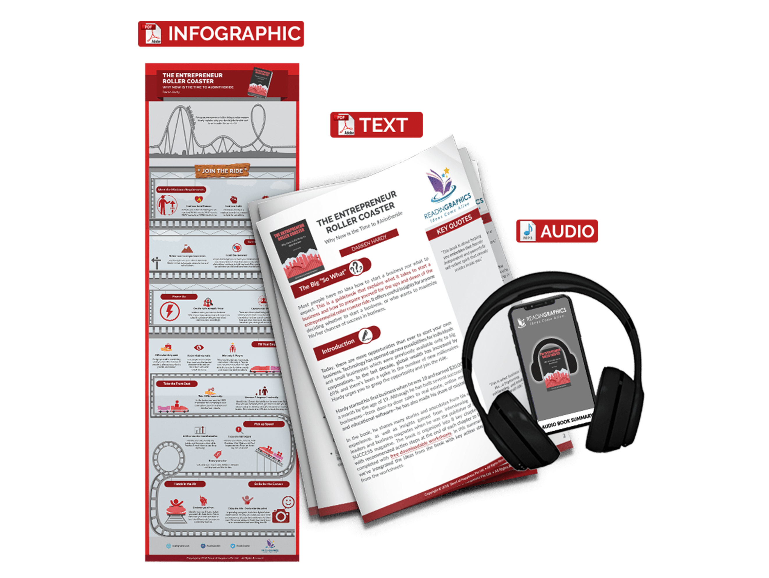 The Entrepreneur Roller Coaster summary - book summary bundle