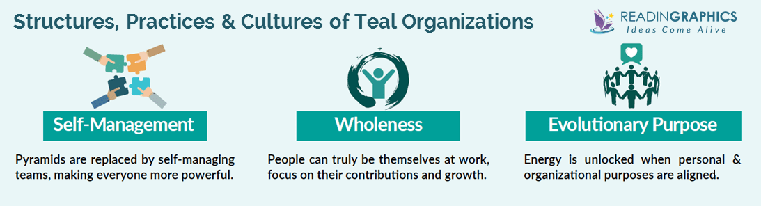 Reinventing Organizations summary_teal organizations