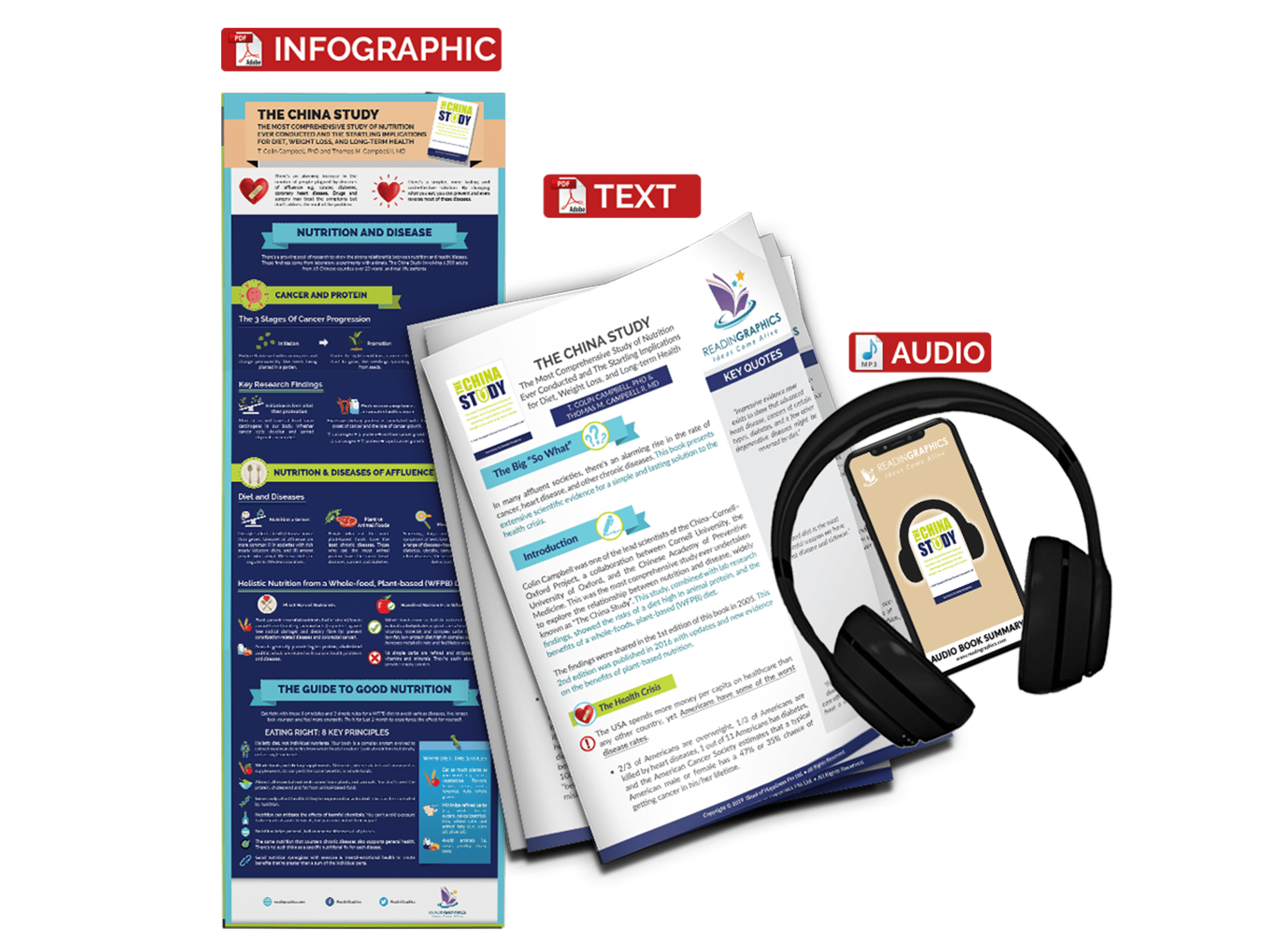 The China Study summary - book summary bundle