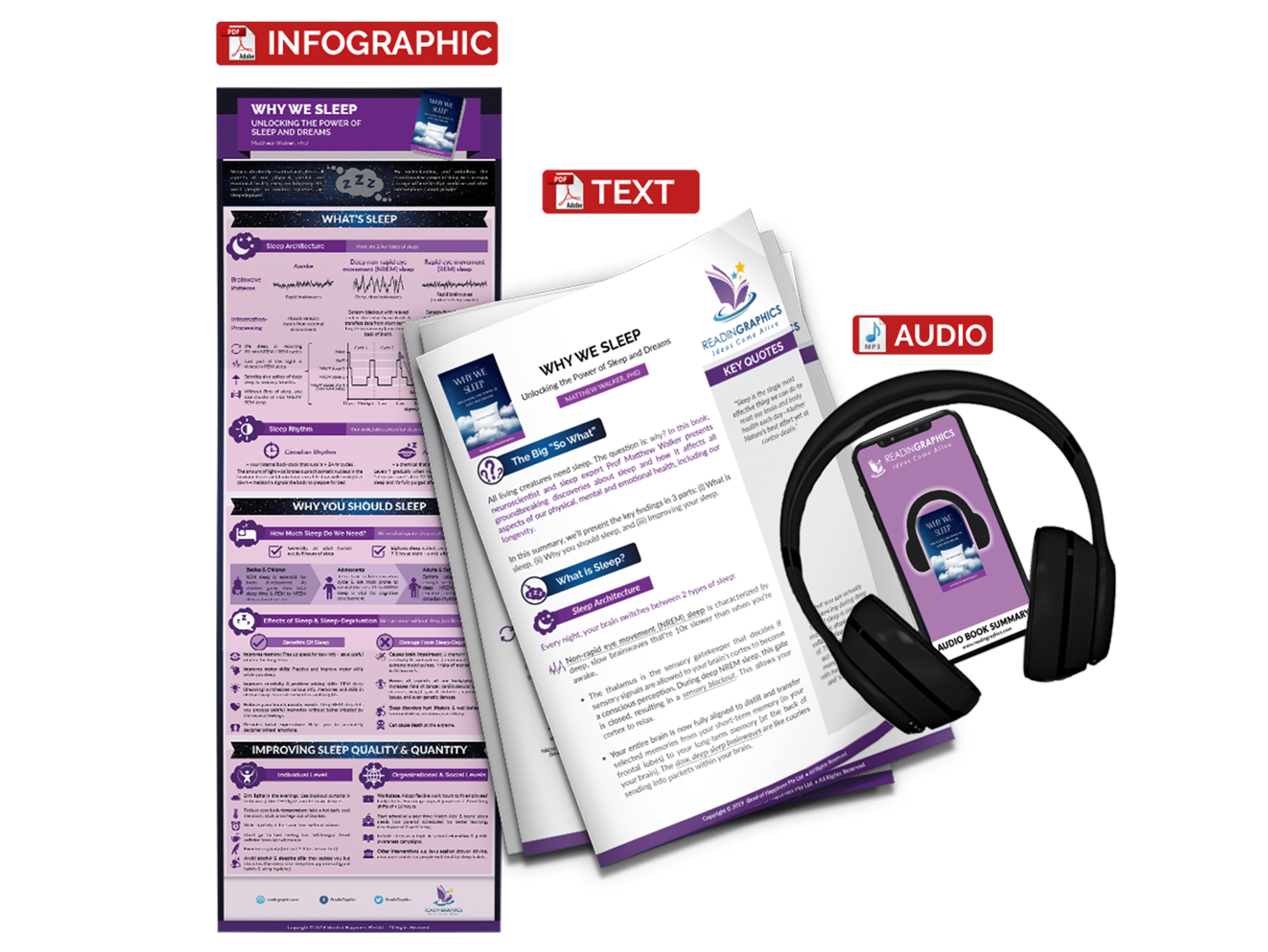 Why We Sleep summary - book summary bundle