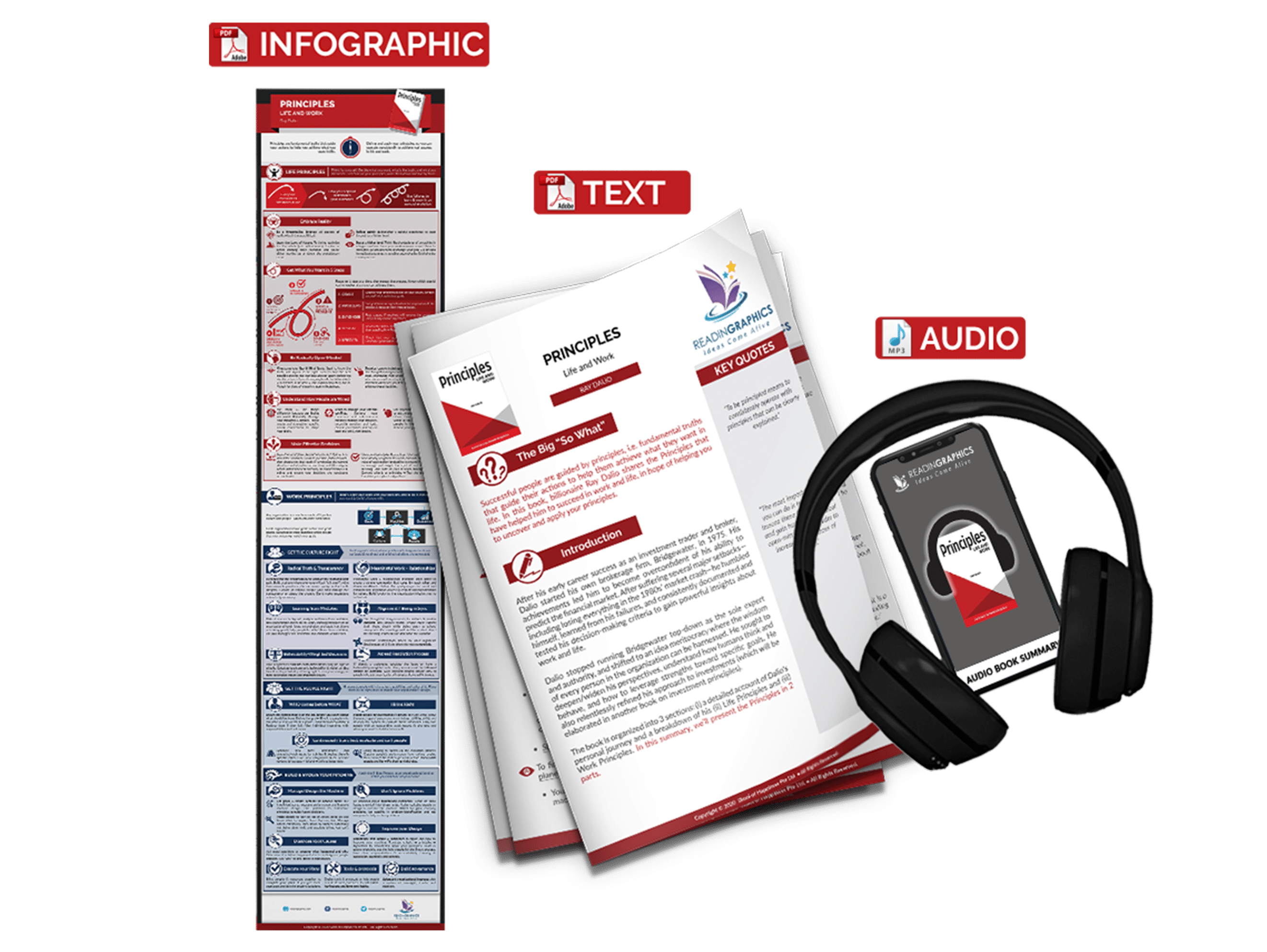 Principles summary - book summary bundle