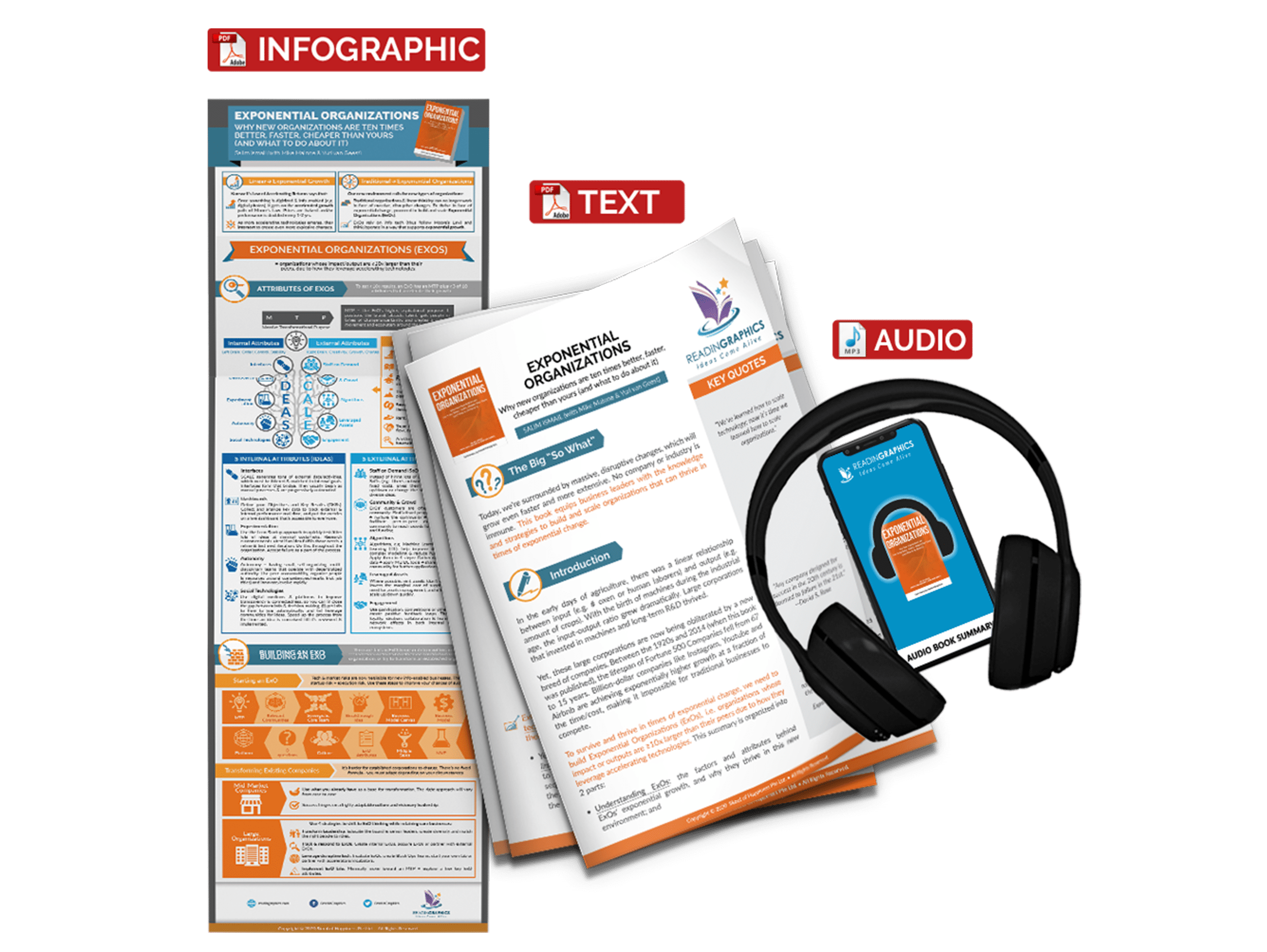 Exponential Organizations summary - book summary bundle