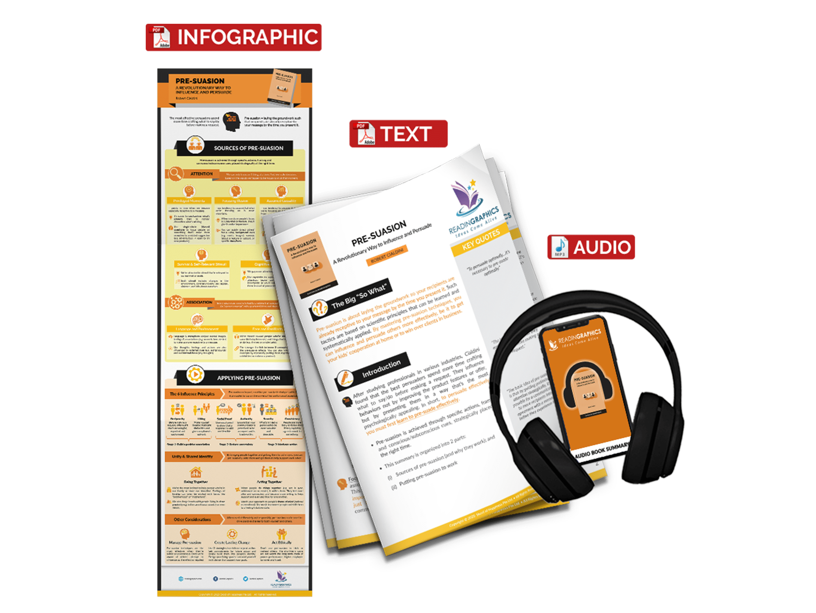 Pre-suasion summary - book summary bundle