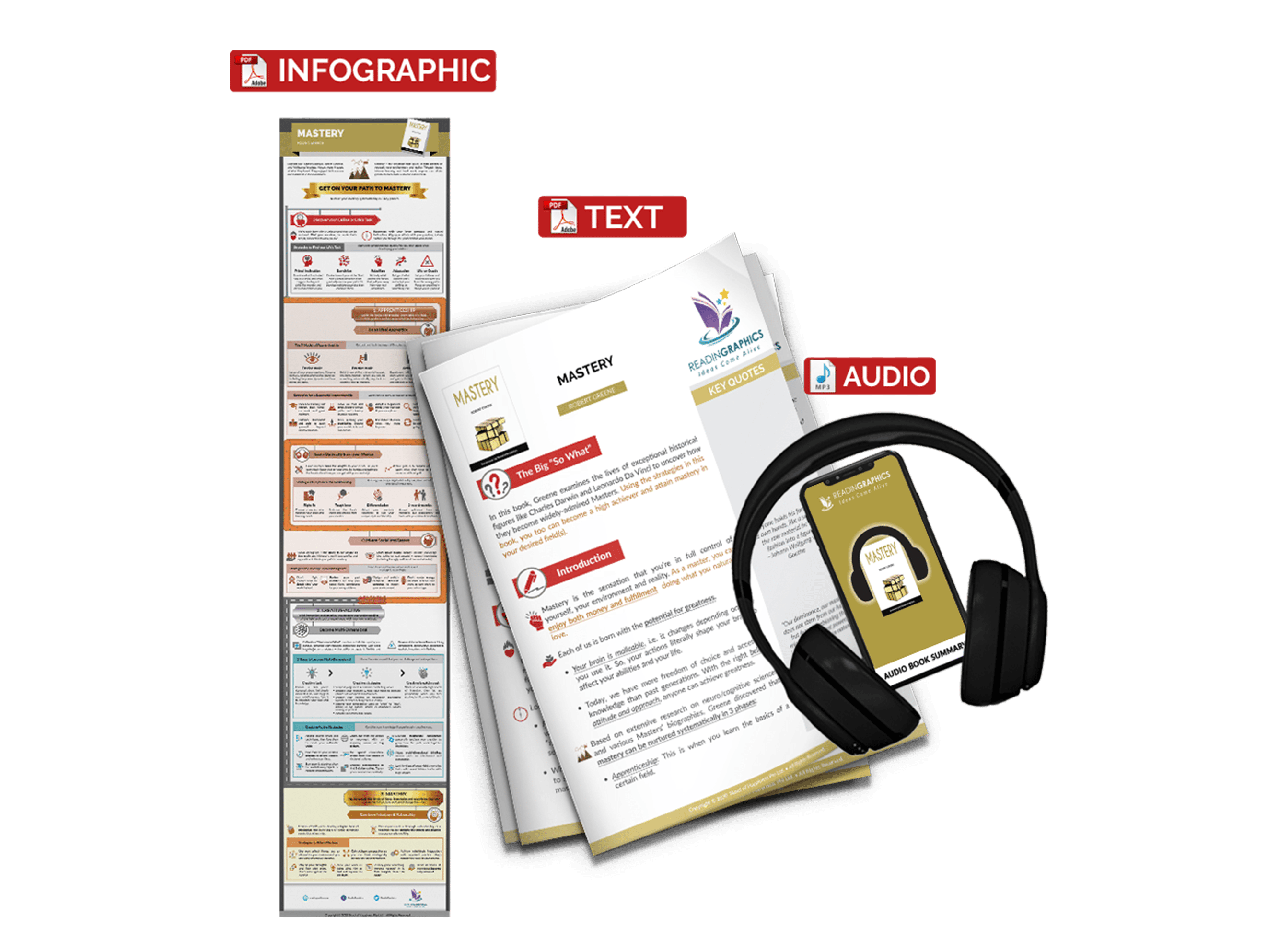 Mastery summary - book summary bundle