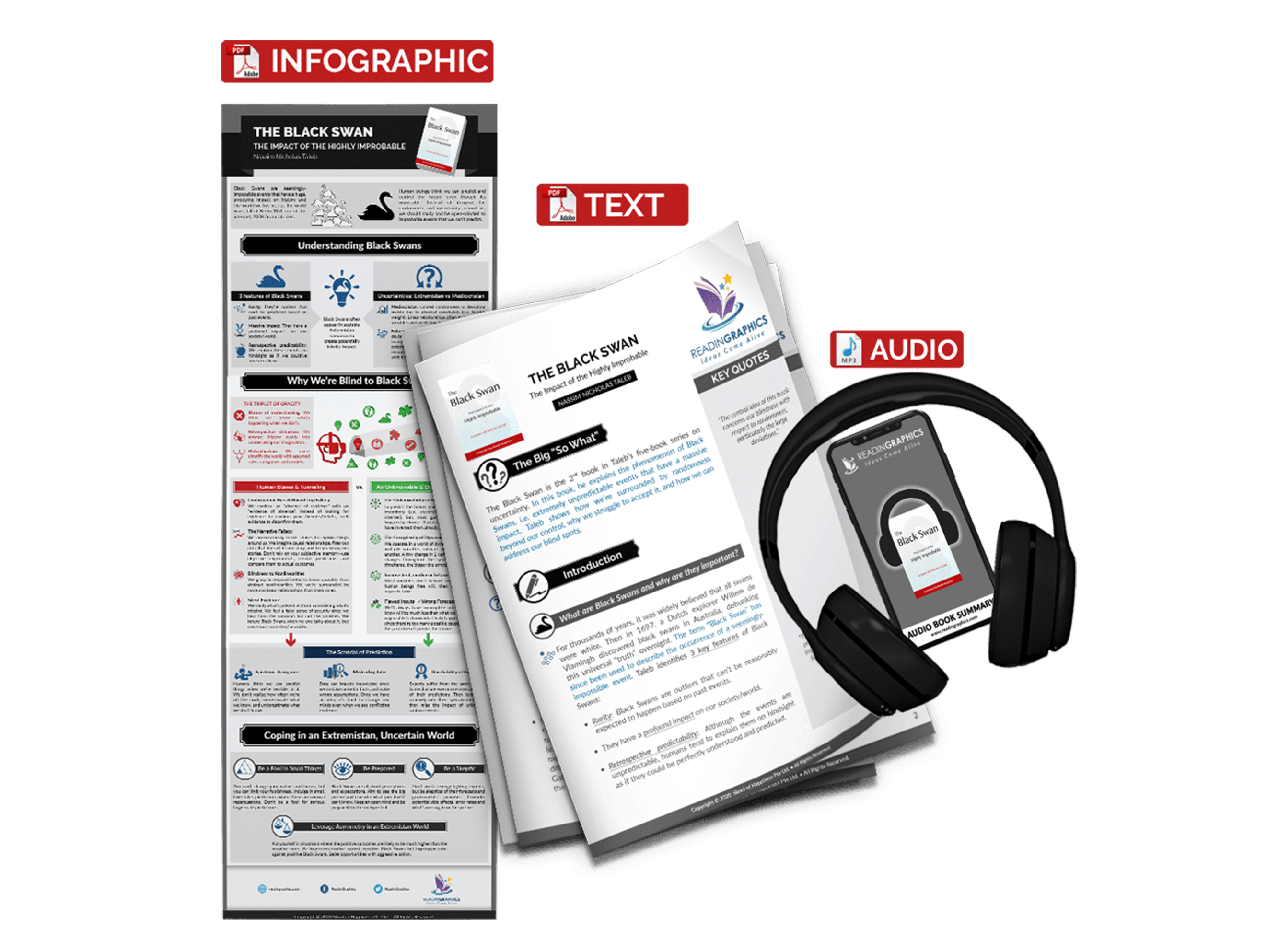 The Black Swan summary - book summary bundle