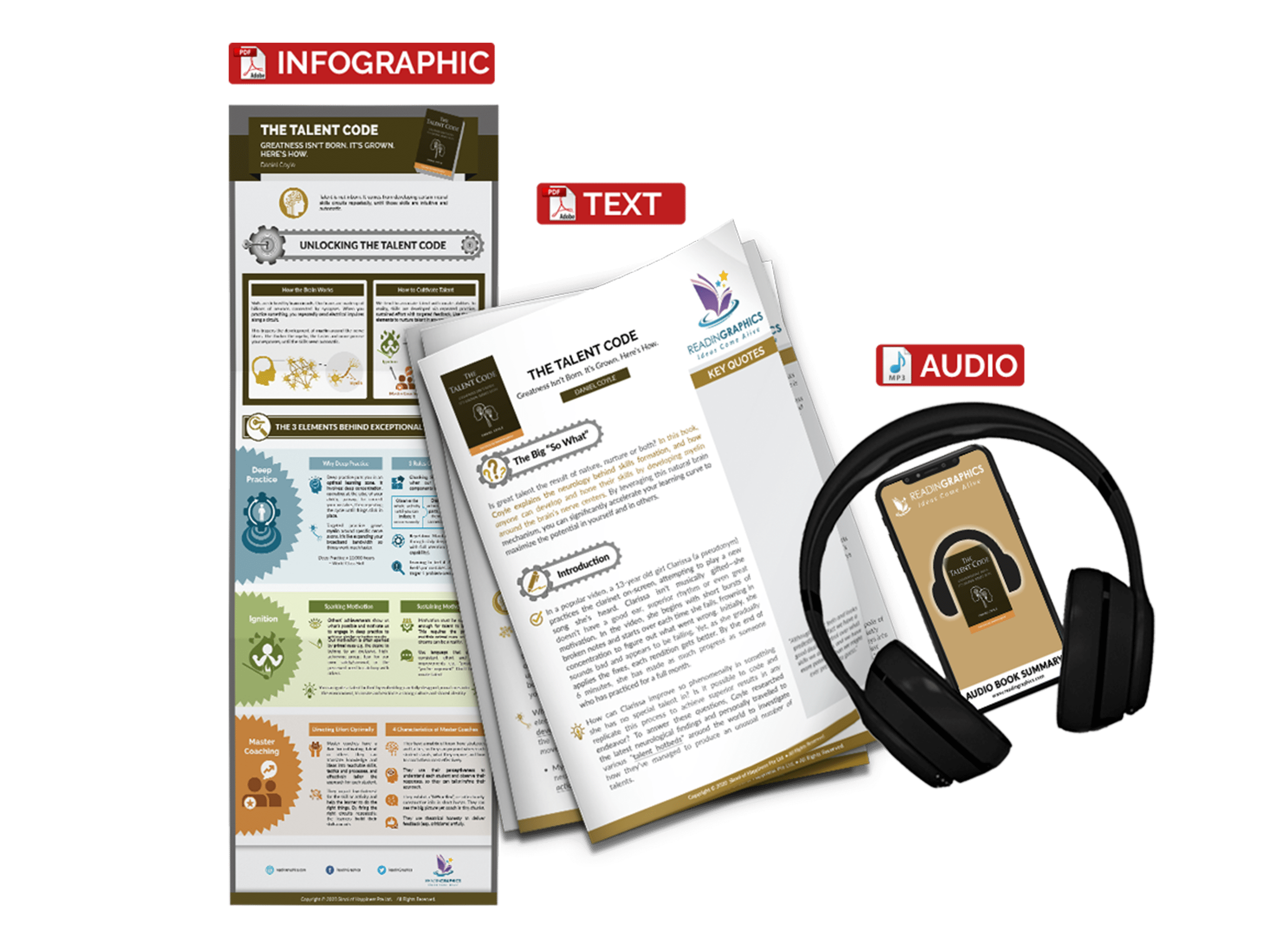 The Talent Code summary - book summary bundle