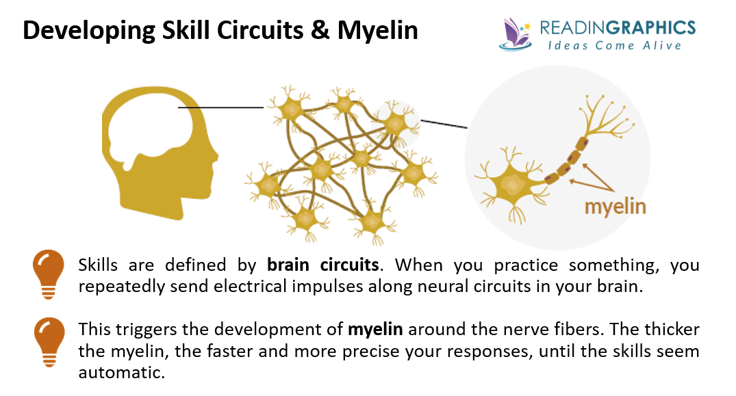 The Talent Code summary_Myelin and skills circuits