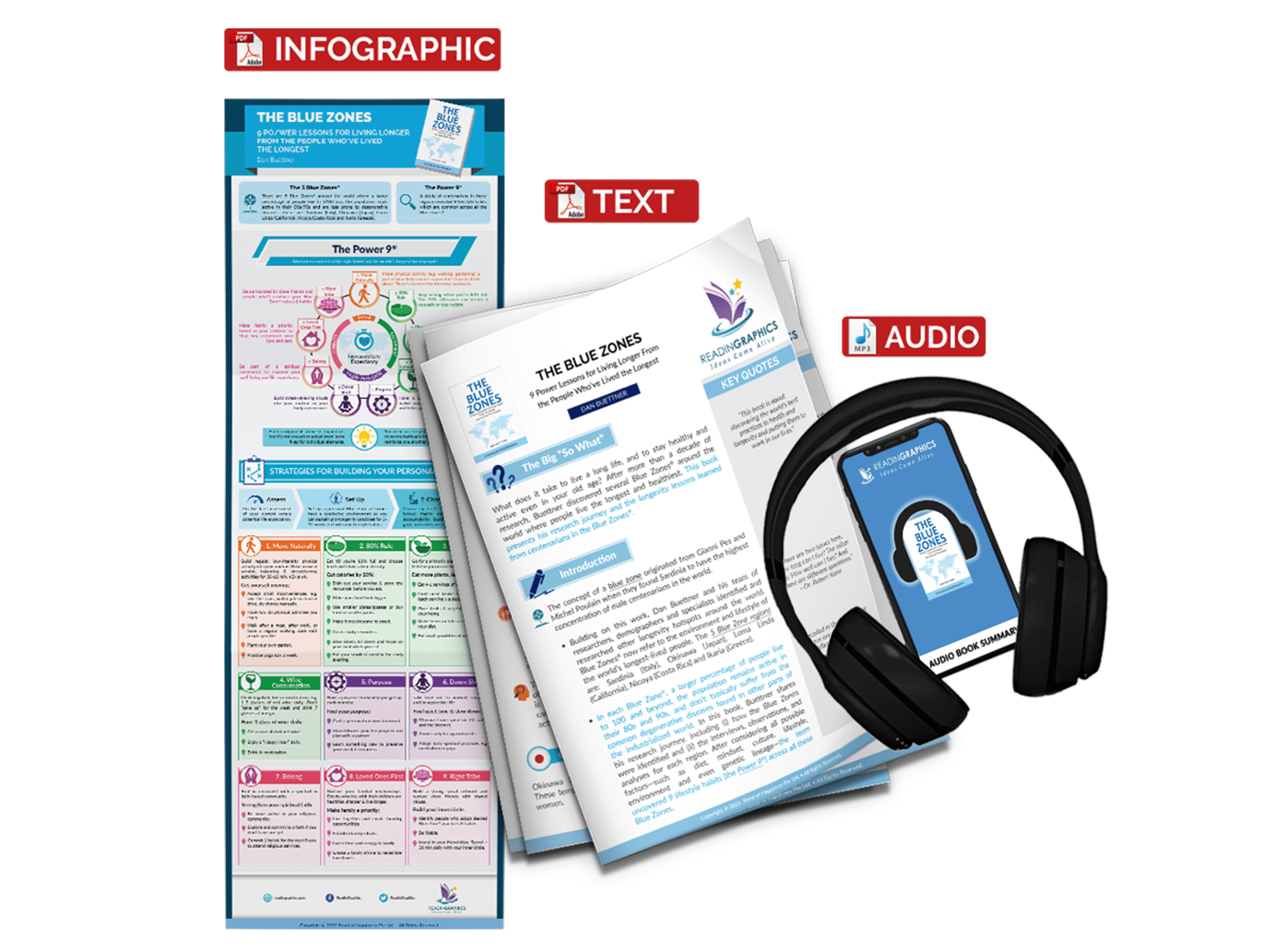 The Blue Zones summary - book summary bundle