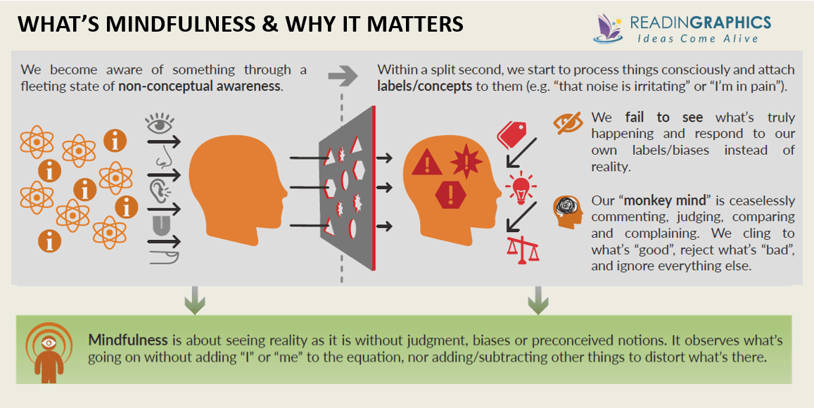 Mindfulness in Plain English summary_Mindfulness explained