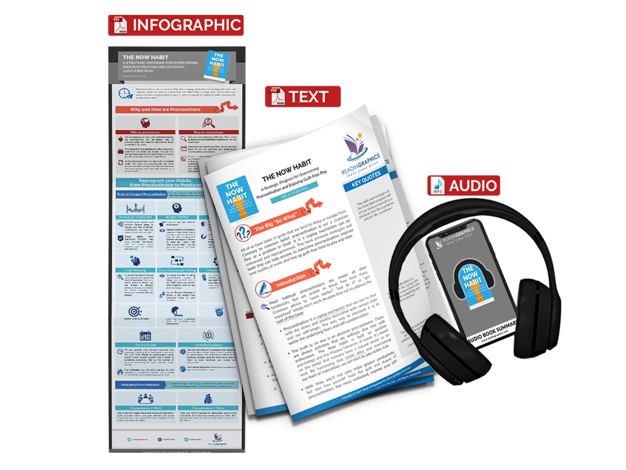 The Now Habit summary - book summary bundle