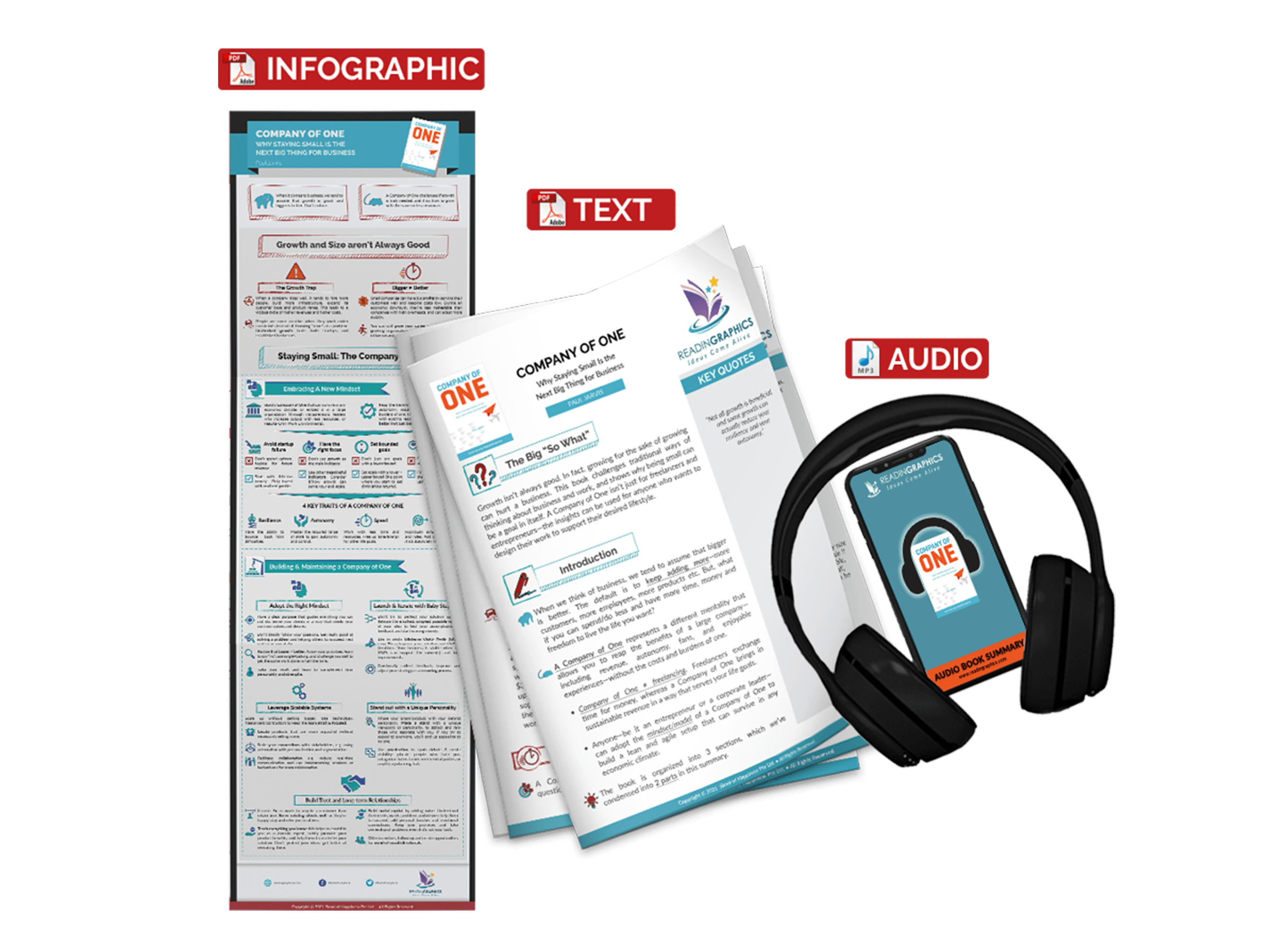 Company of One summary - book summary bundle