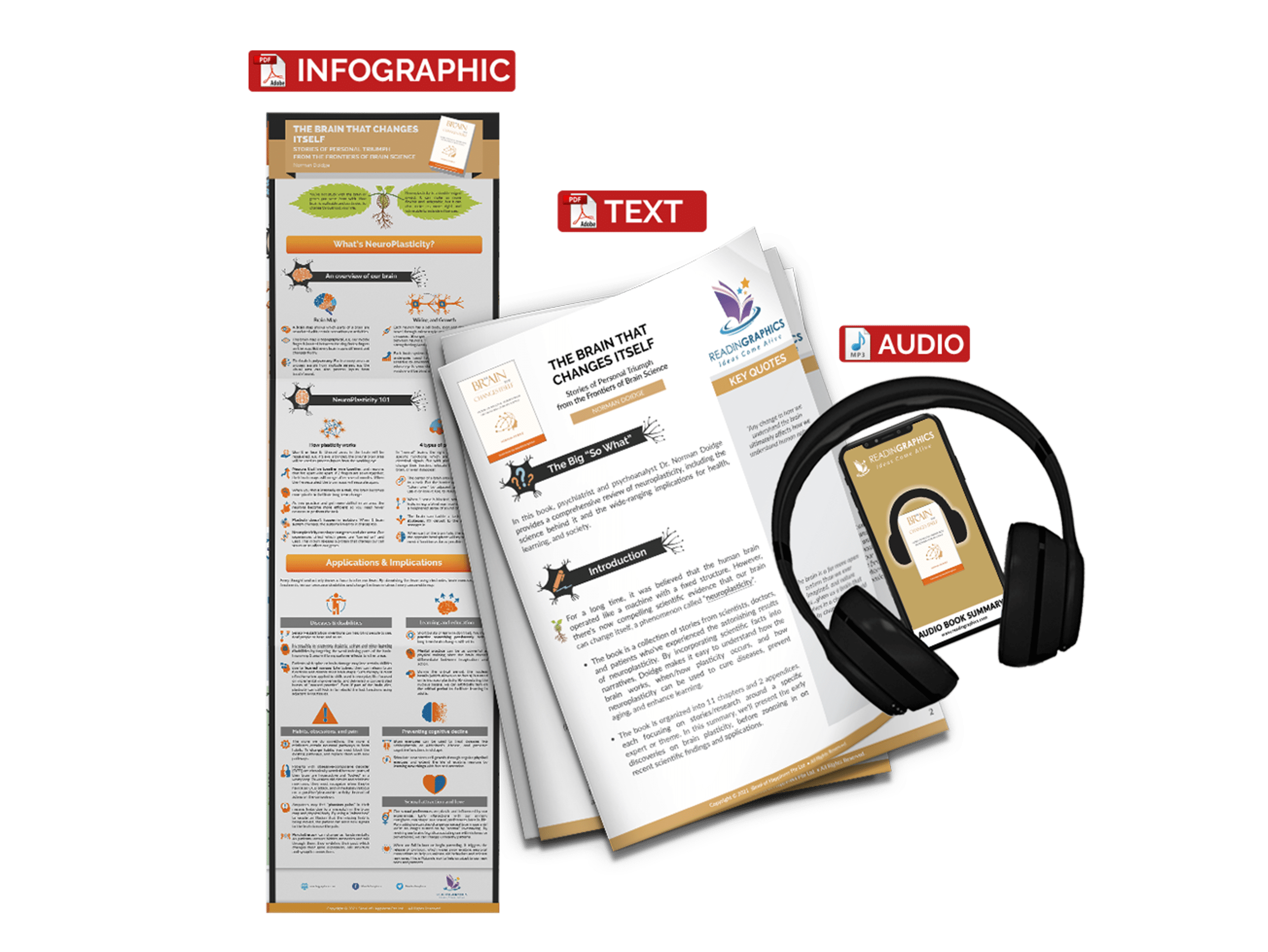 The Brain that Changes Itself summary - book summary bundle