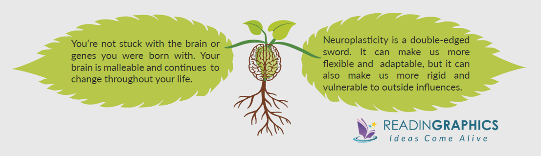 The Brain that Changes Itself summary - Overview