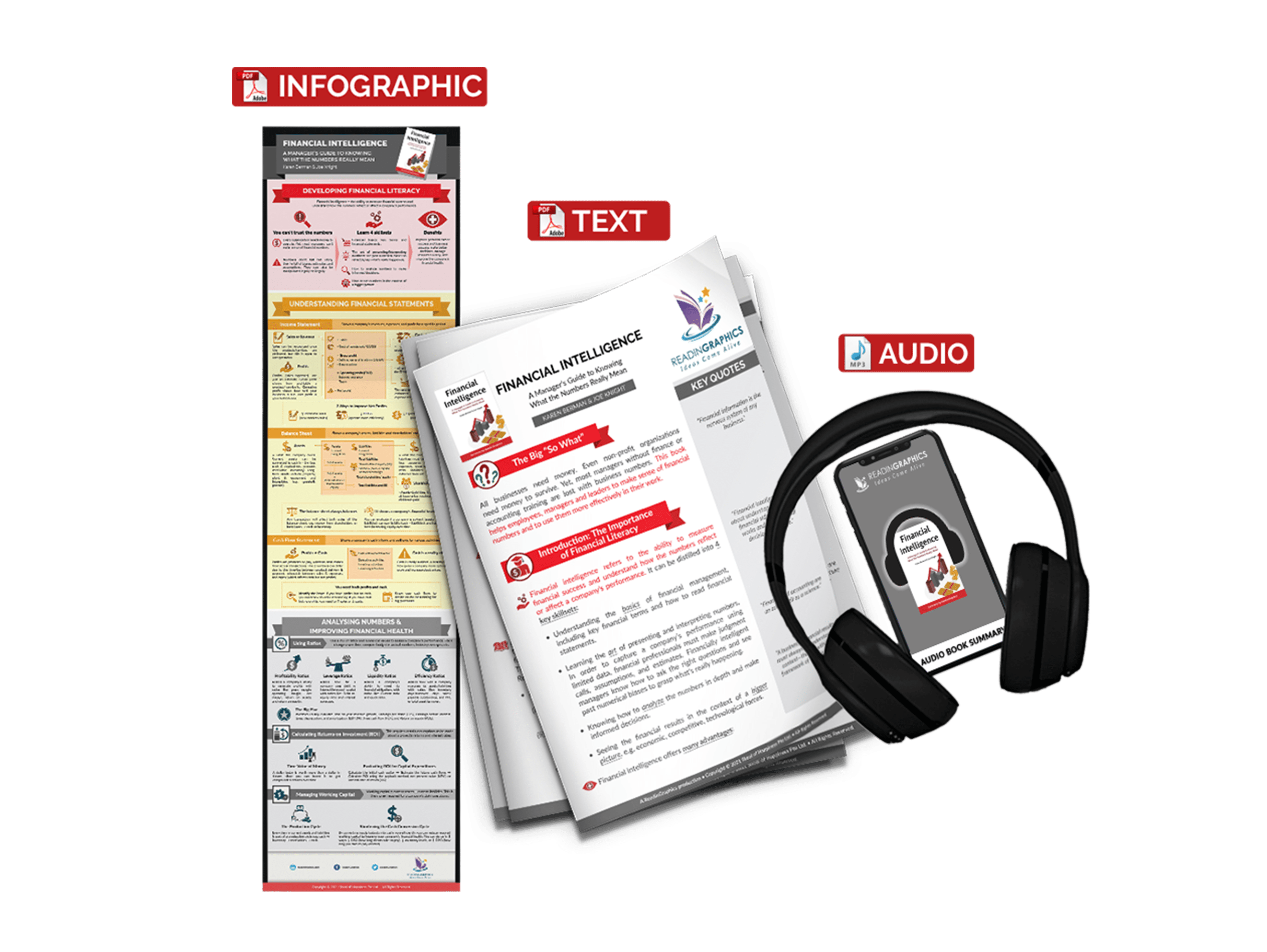 Financial Intelligence summary - book summary bundle