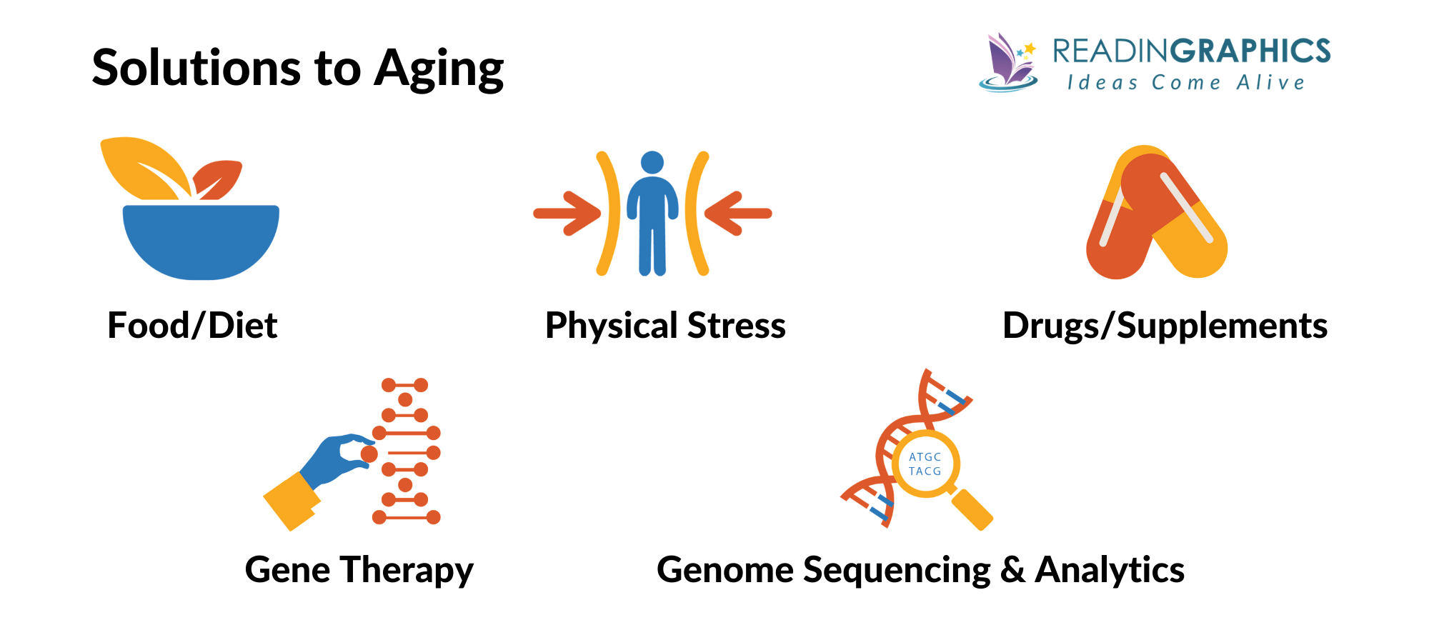 Lifespan summary - Solutions to Aging