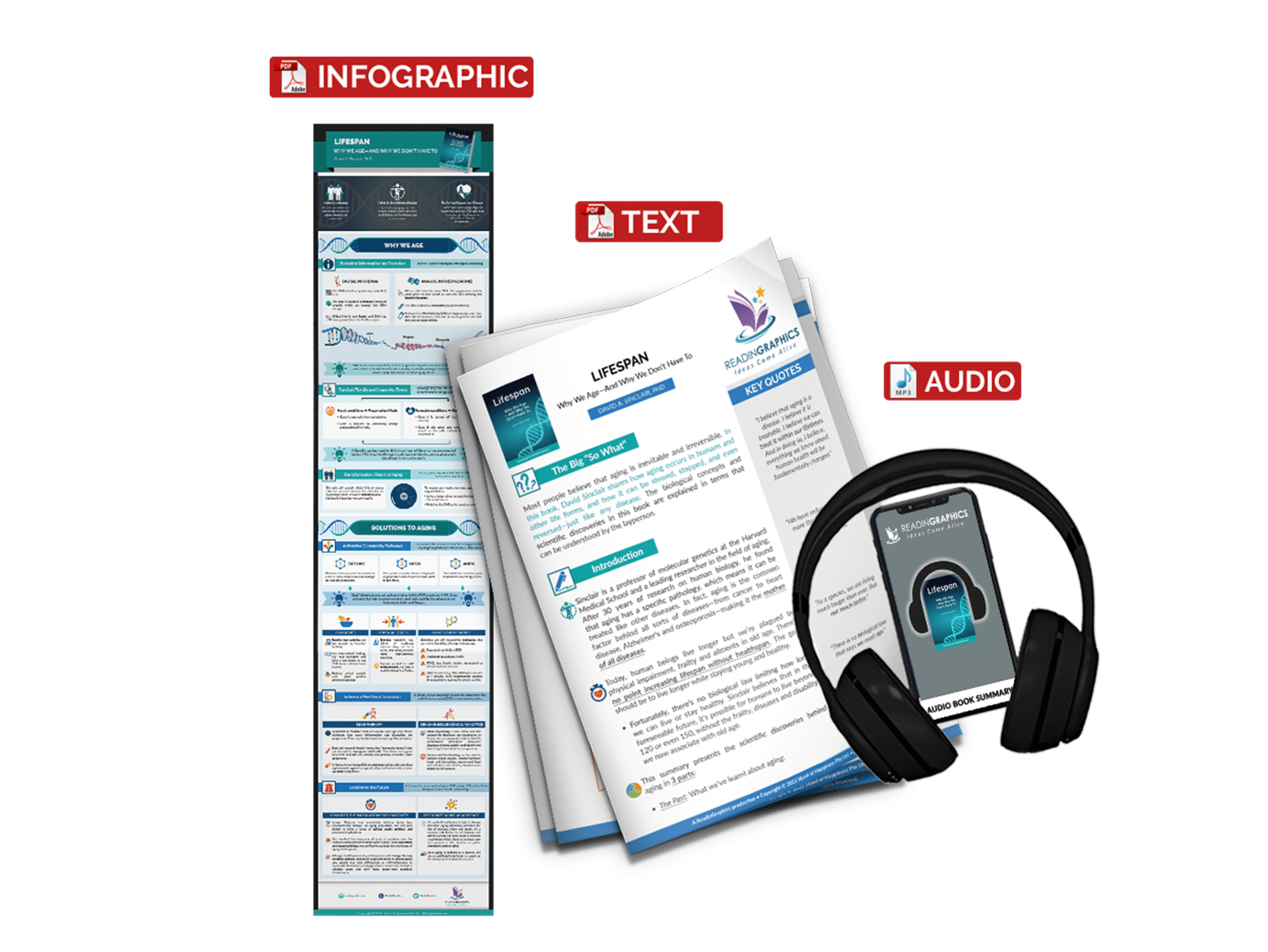 Lifespan summary - book summary bundle