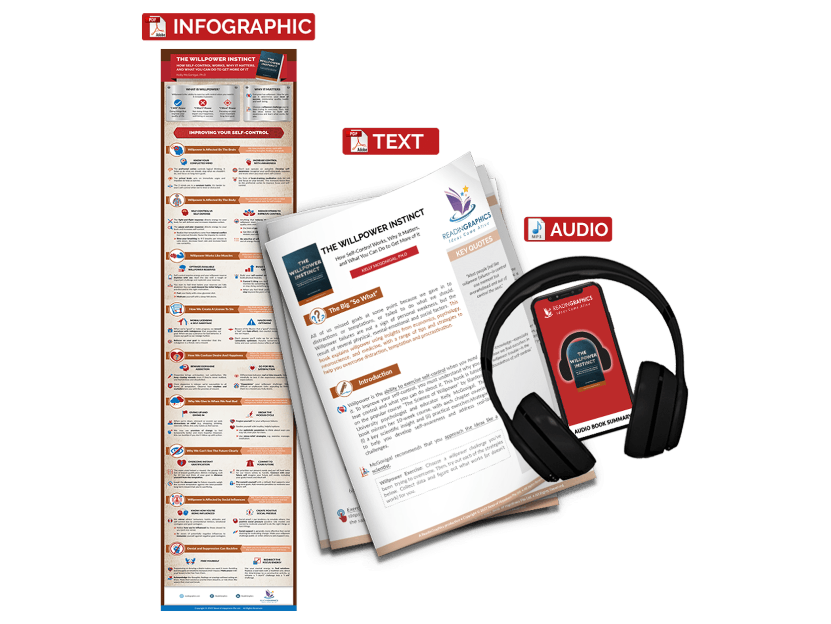 The Willpower Instinct summary - book summary bundle