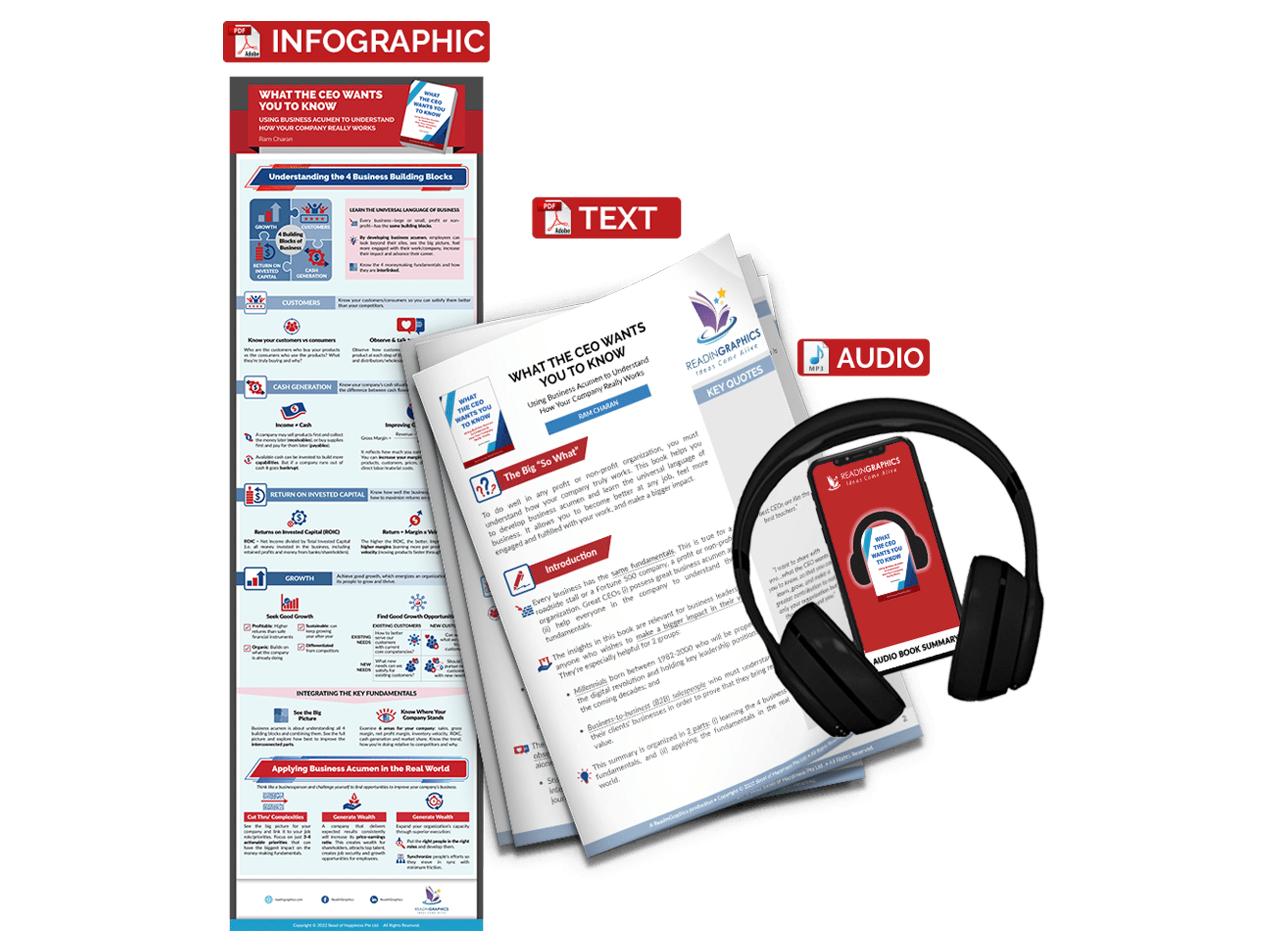 What The CEO Wants You to Know summary - Book summary bundle