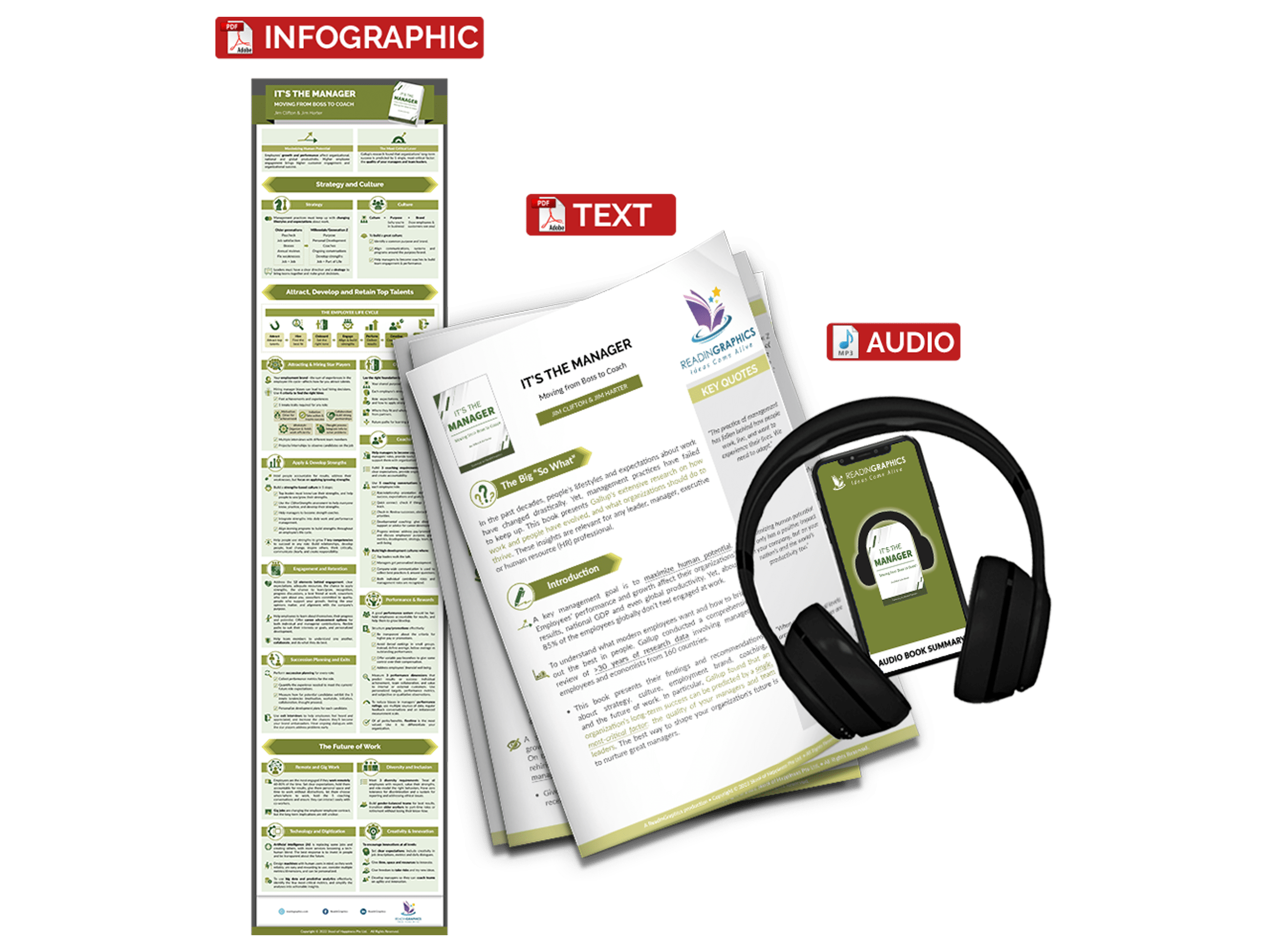 It's the Manager summary - book summary bundle