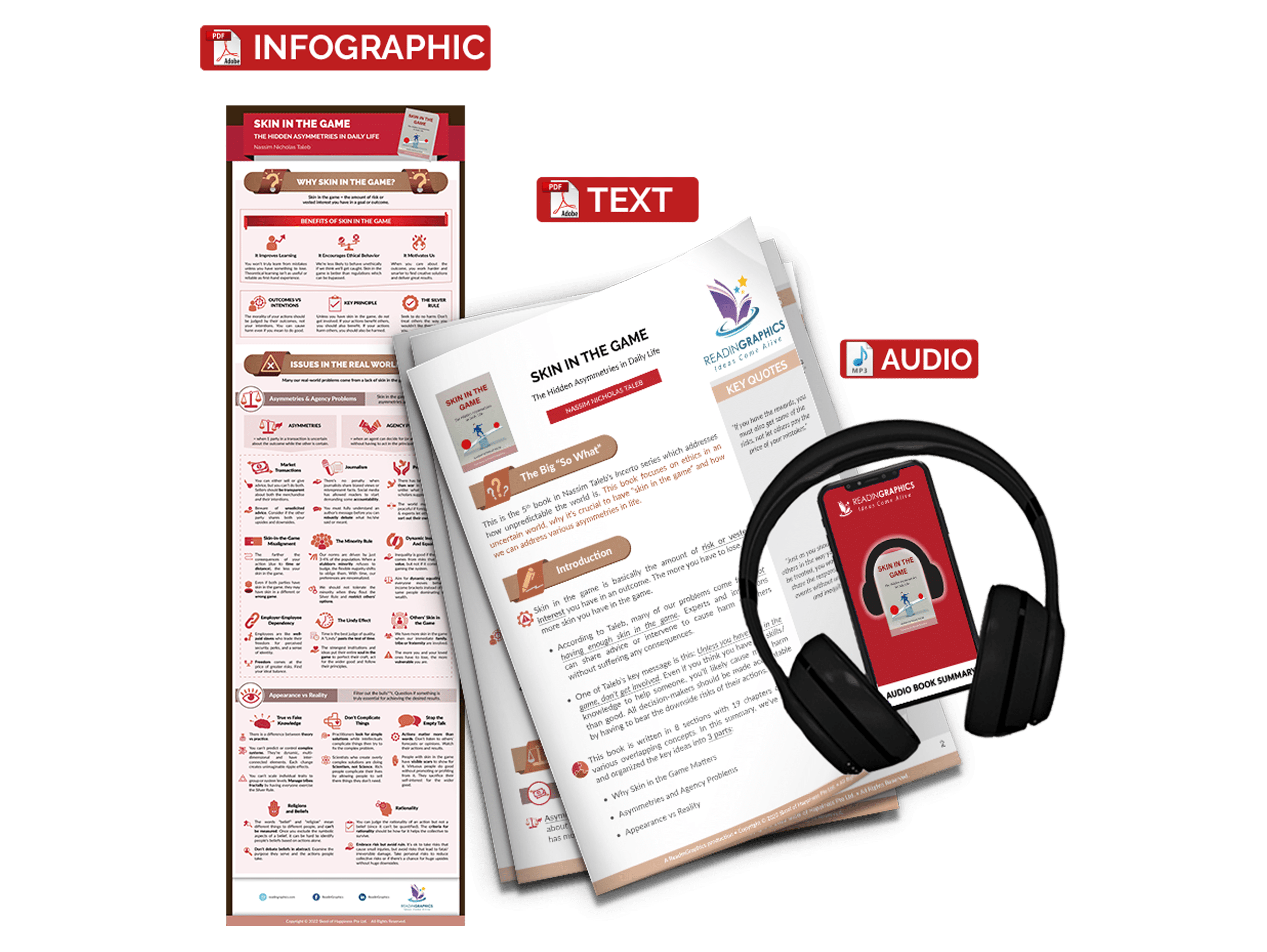 Skin in the Game summary - Book Summary Bundle