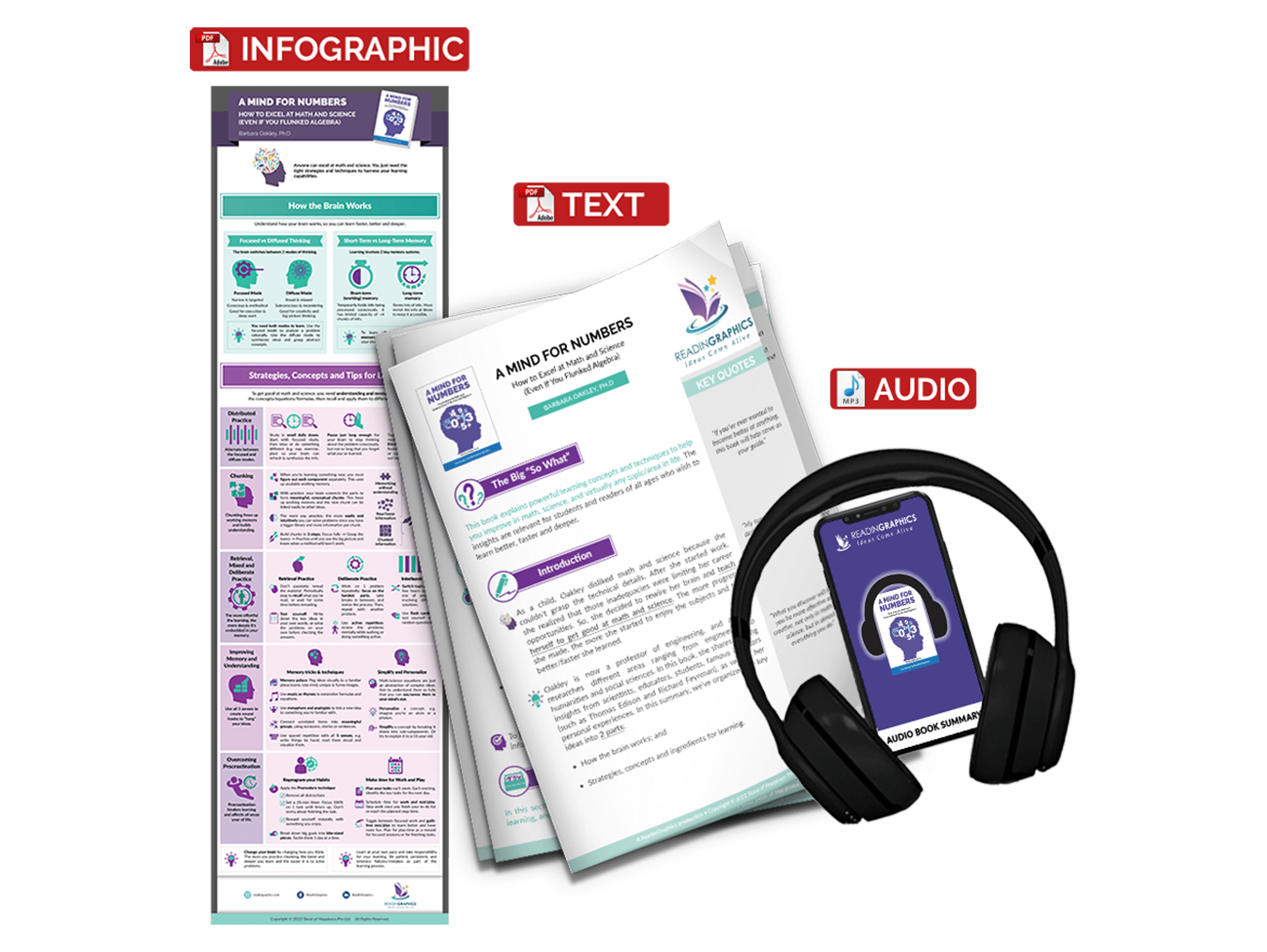 A Mind for Numbers summary - Book Summary Bundle