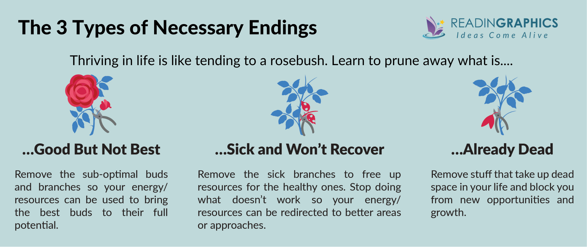 Necessary Endings summary - 3 things to prune away