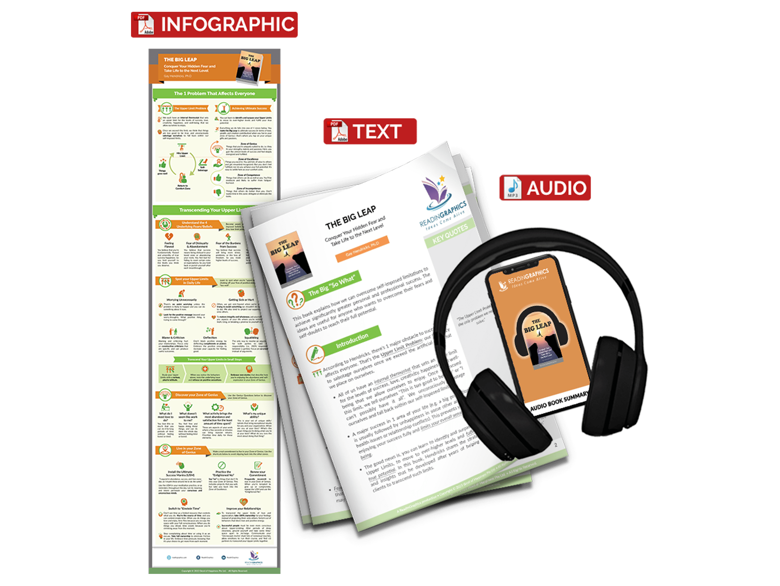 The Big Leap summary - book summary bundle