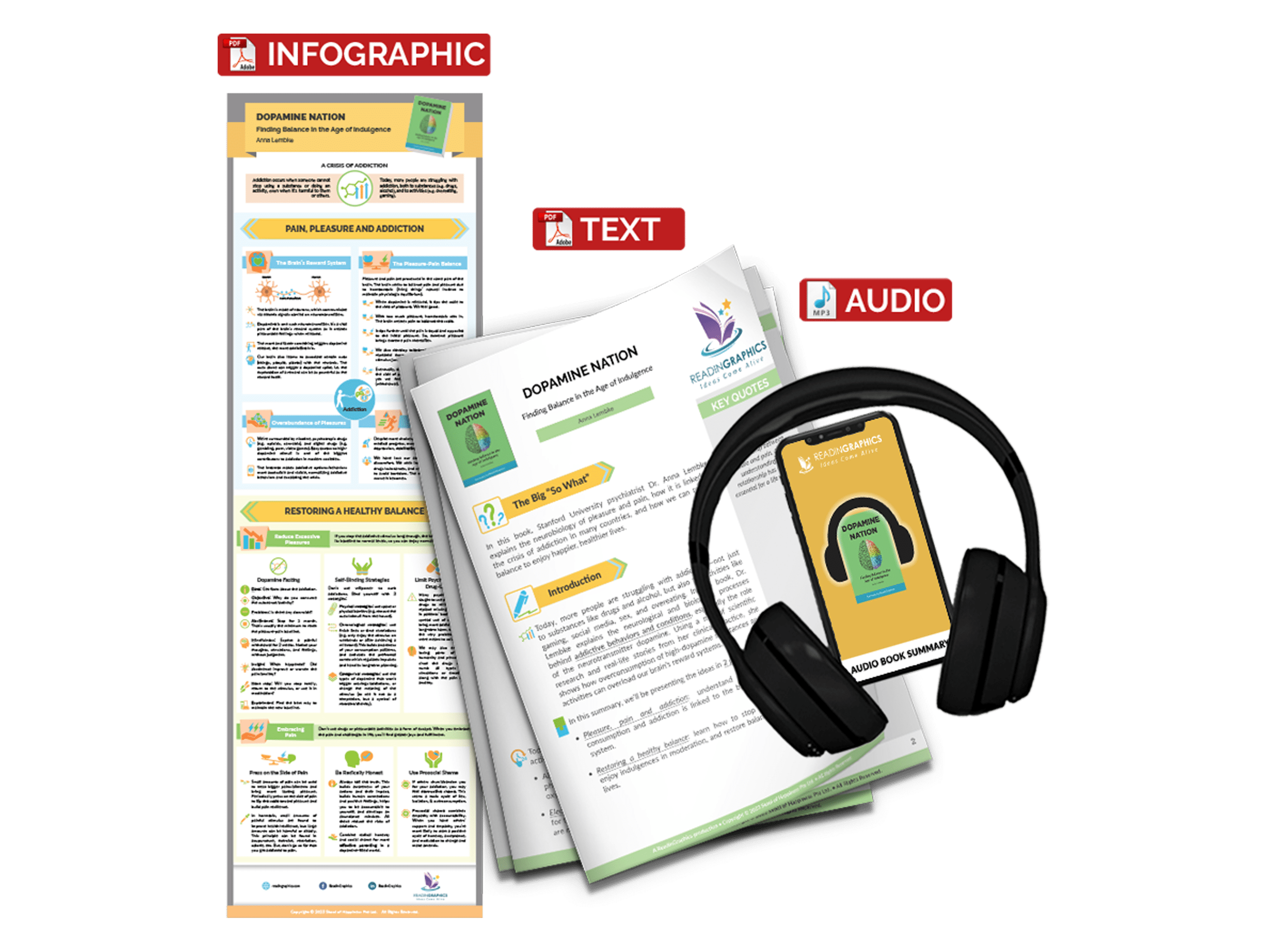 Dopamine Nation summary - Book Summary Bundle