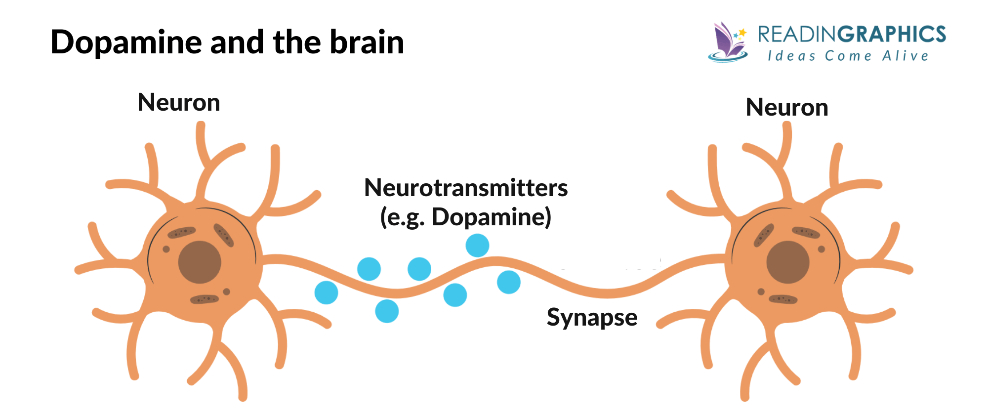 Dopamine Nation summary - dopamine as neurotransmitter