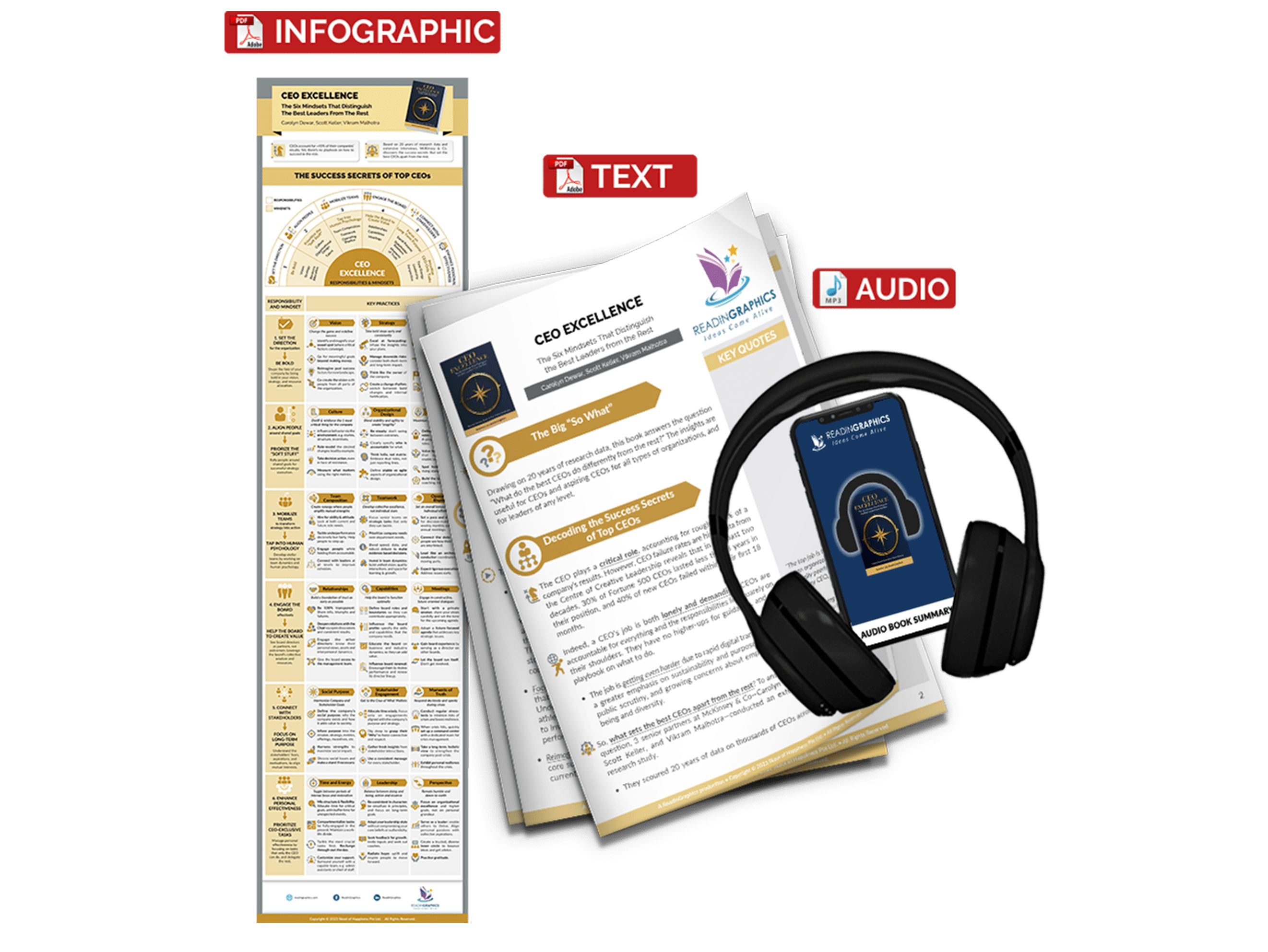 CEO Excellence summary - book summary bundle