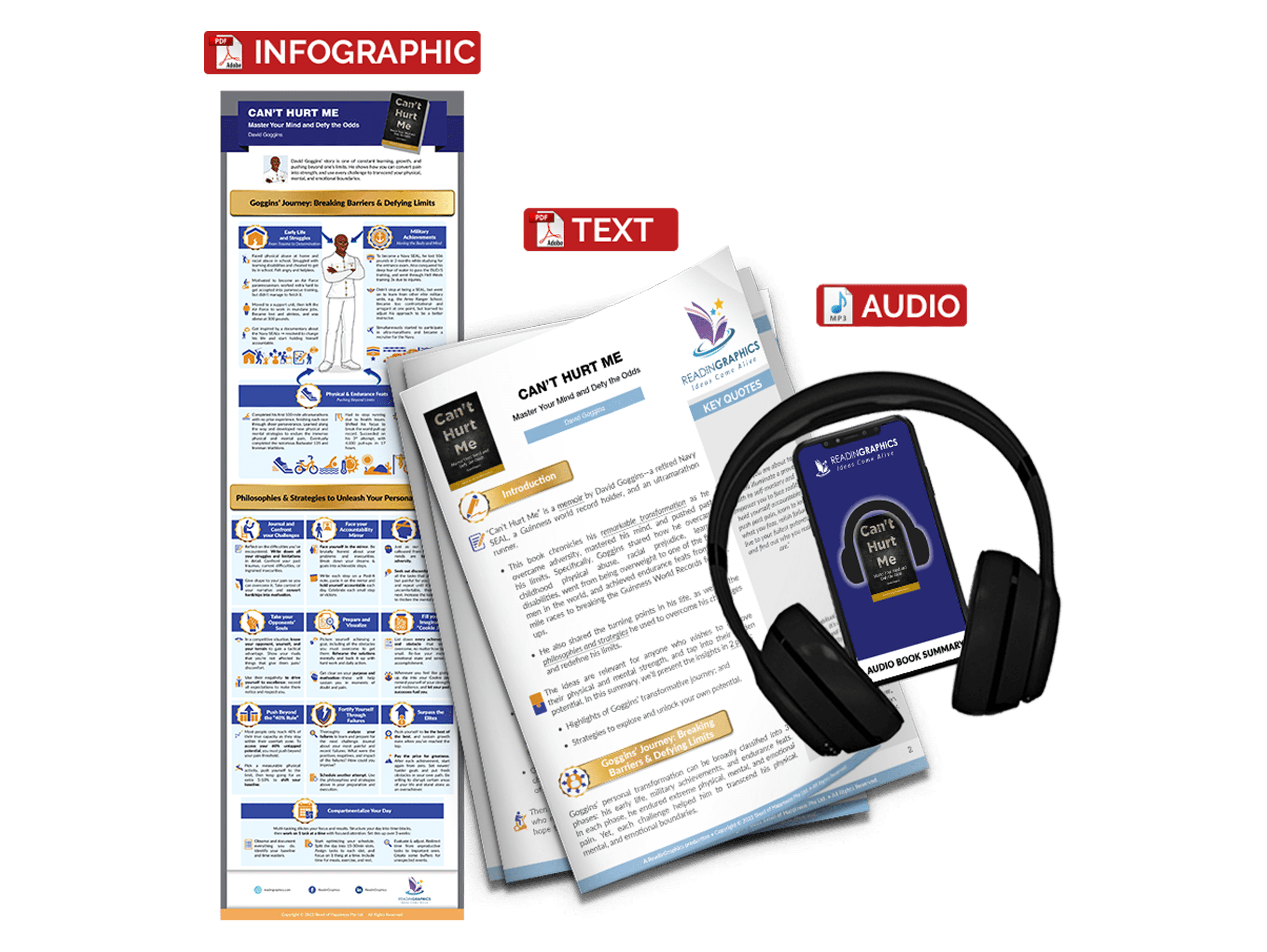 Can't Hurt Me summary - Book Summary Bundle