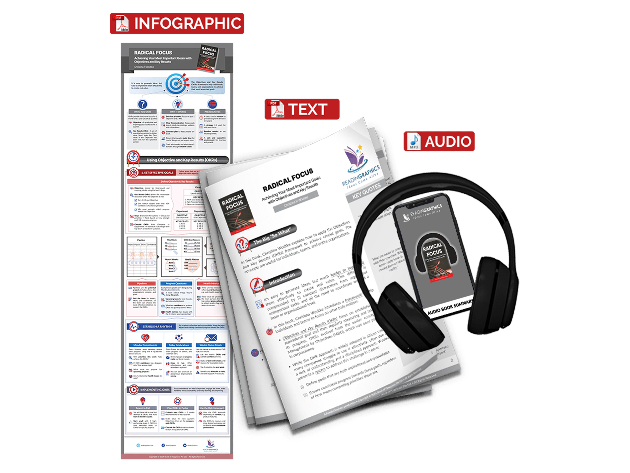 Radical Focus summary - Book Summary Bundle