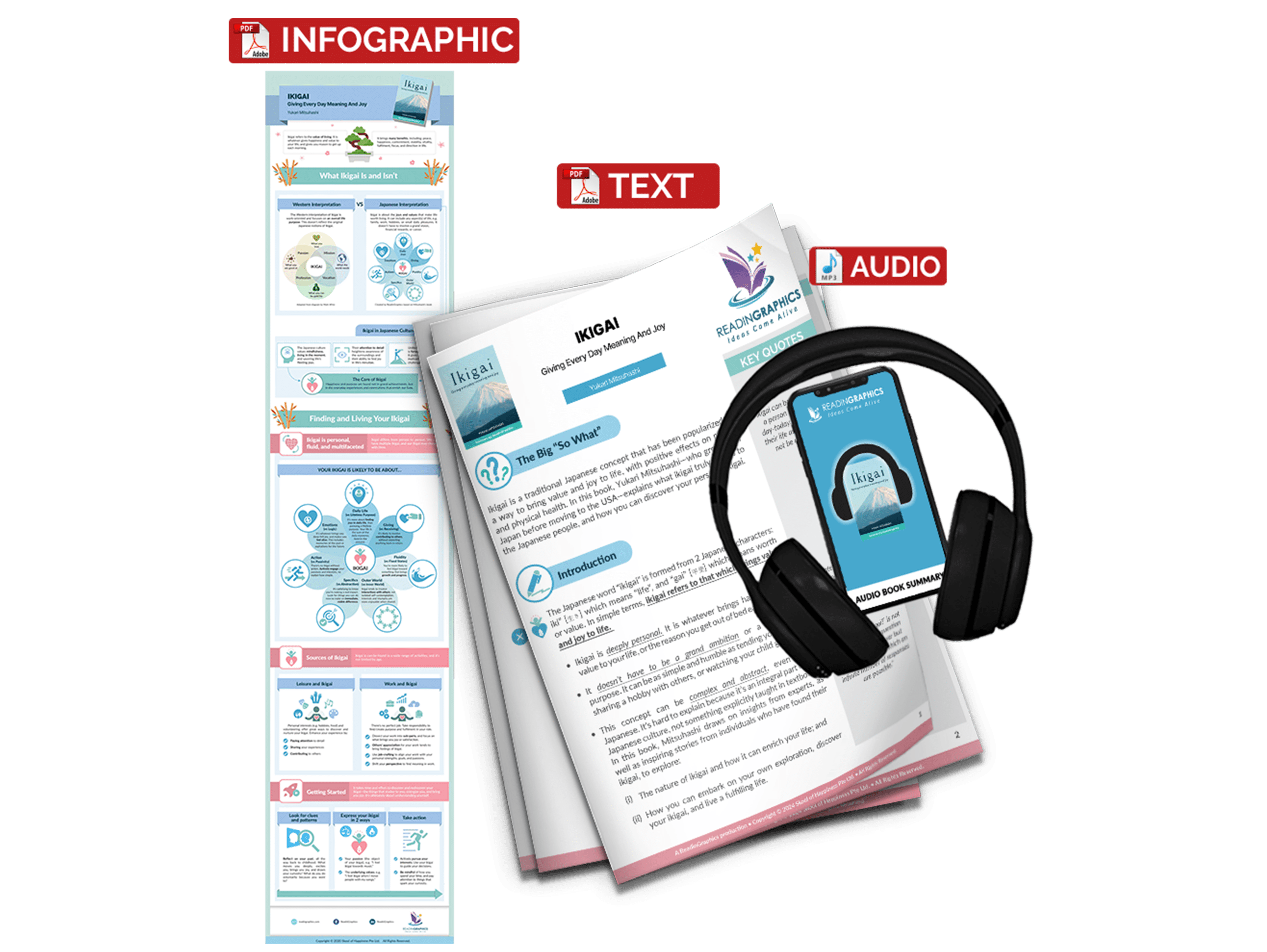 Ikigai summary - book summary bundle