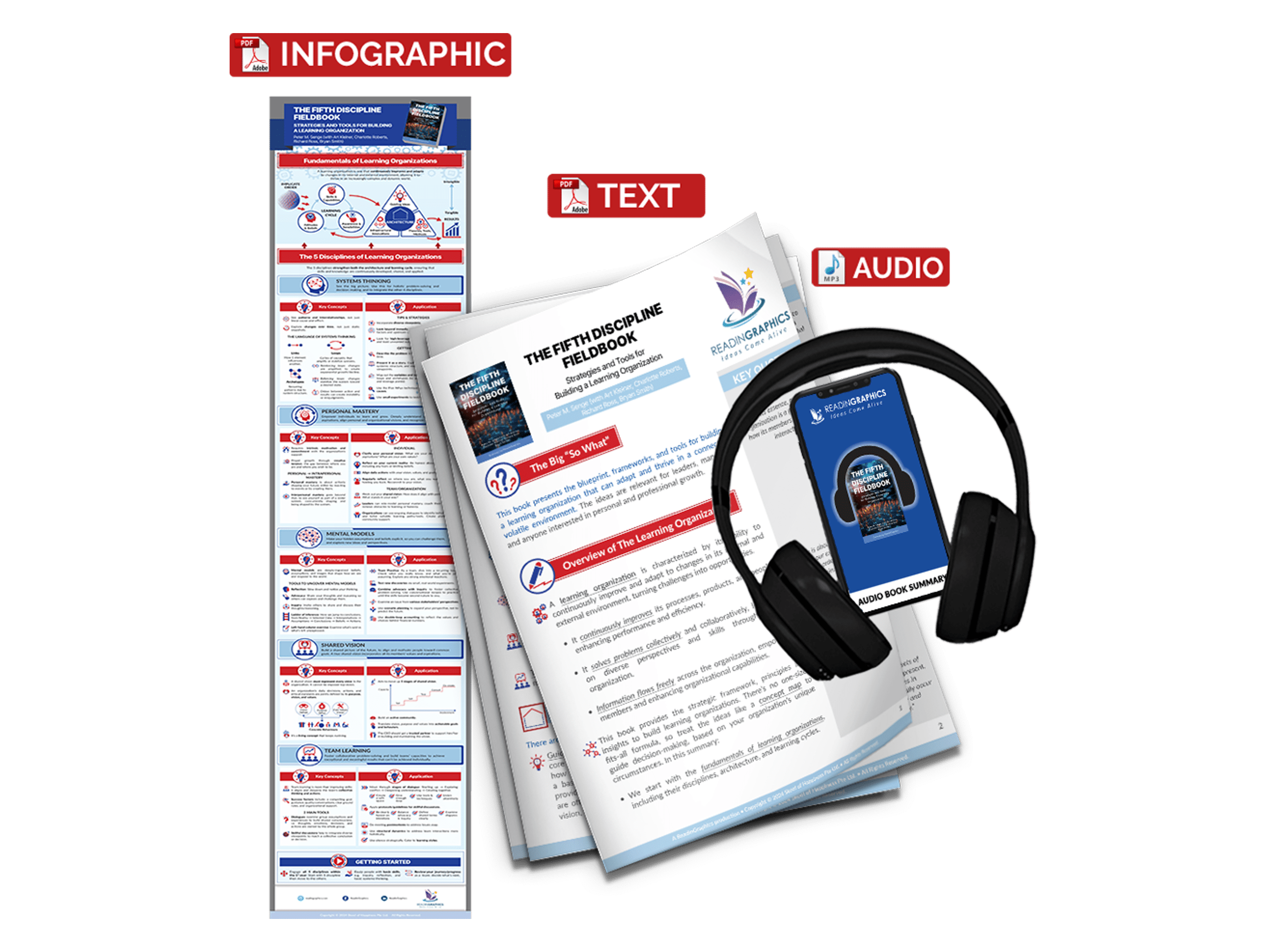 The Fifth Discipline Fieldbook summary - book summary bundle