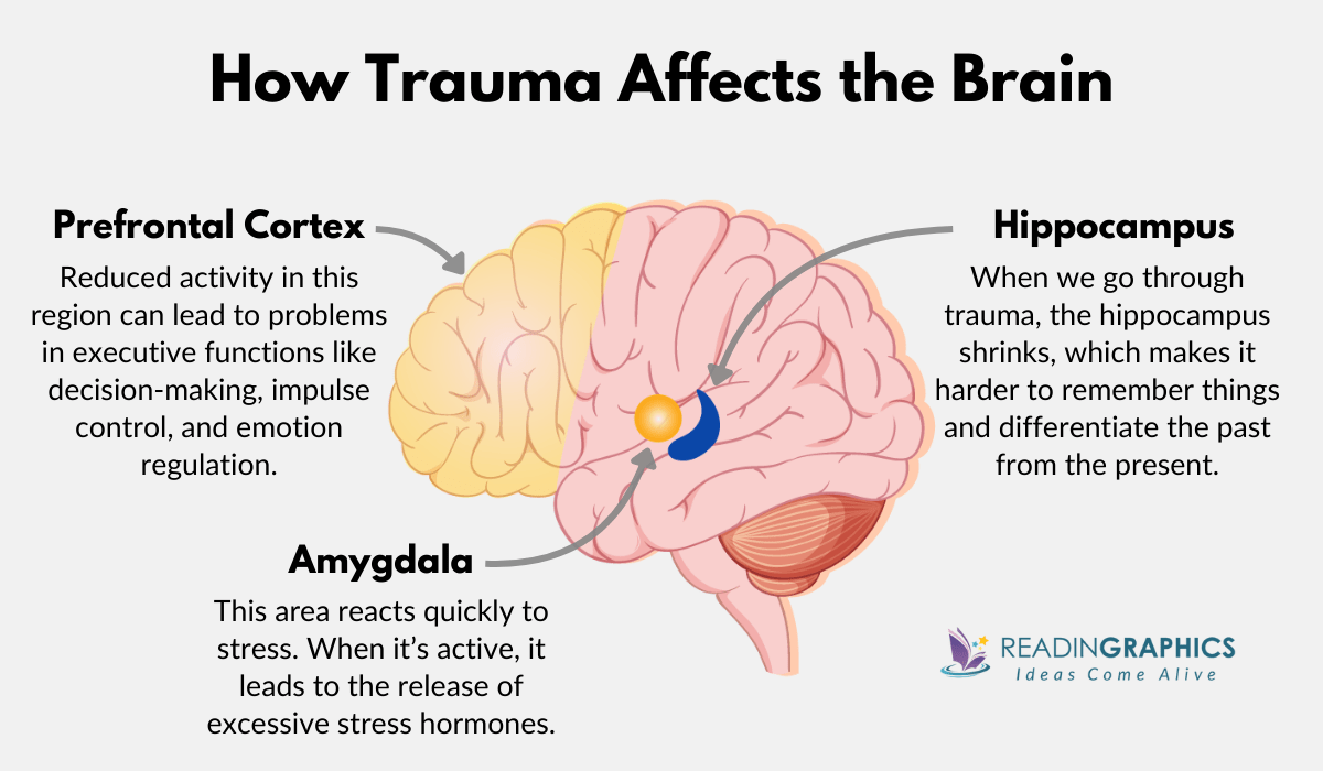 The Body Keeps Score Summary - How Trauma Affects the Brain